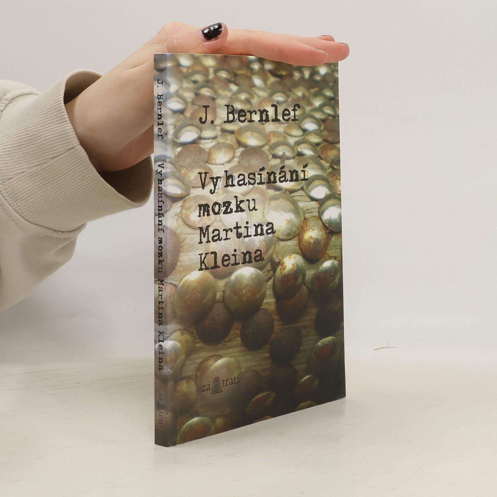 J. Bernlef Vyhasínání mozku Martina Kleina