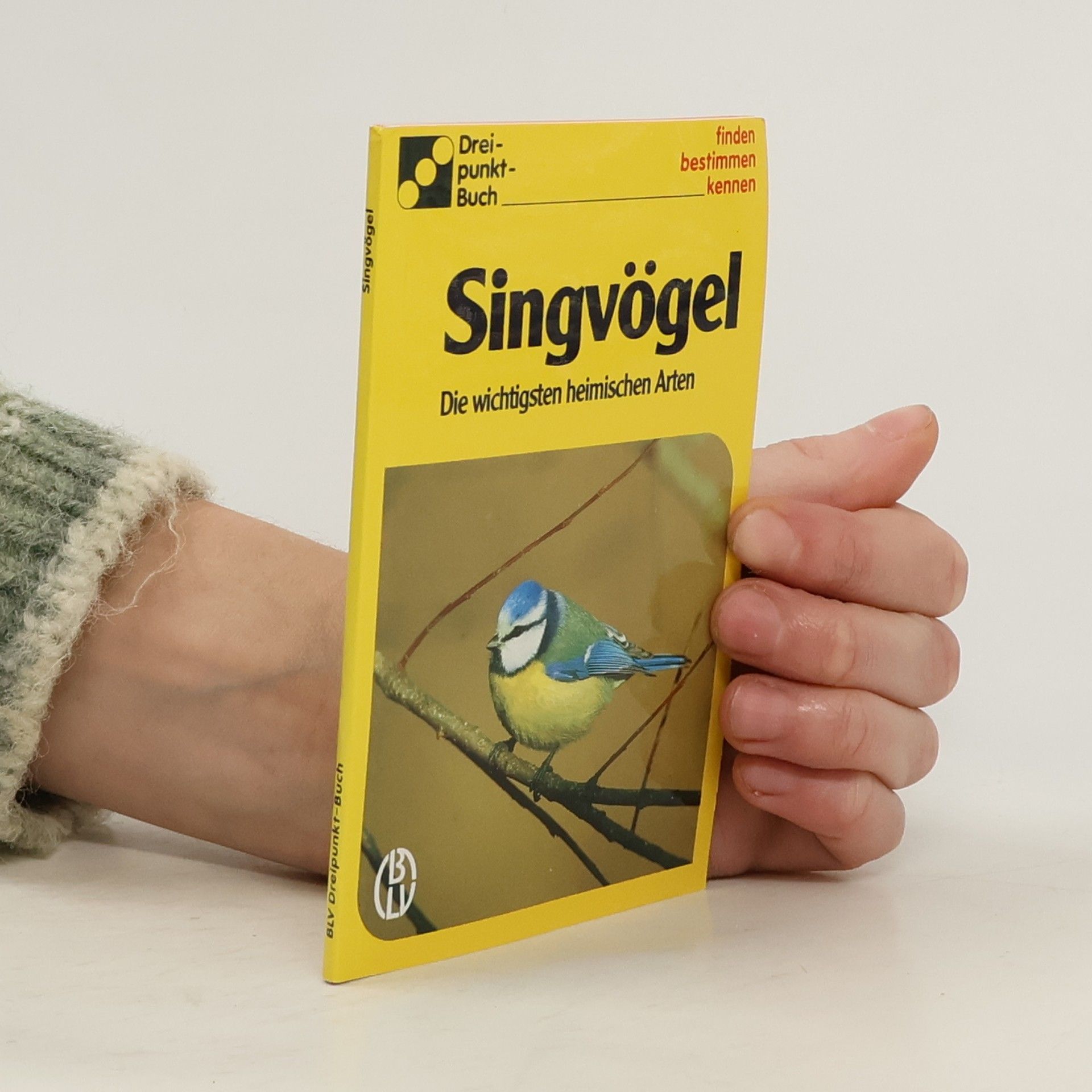 Singvögel