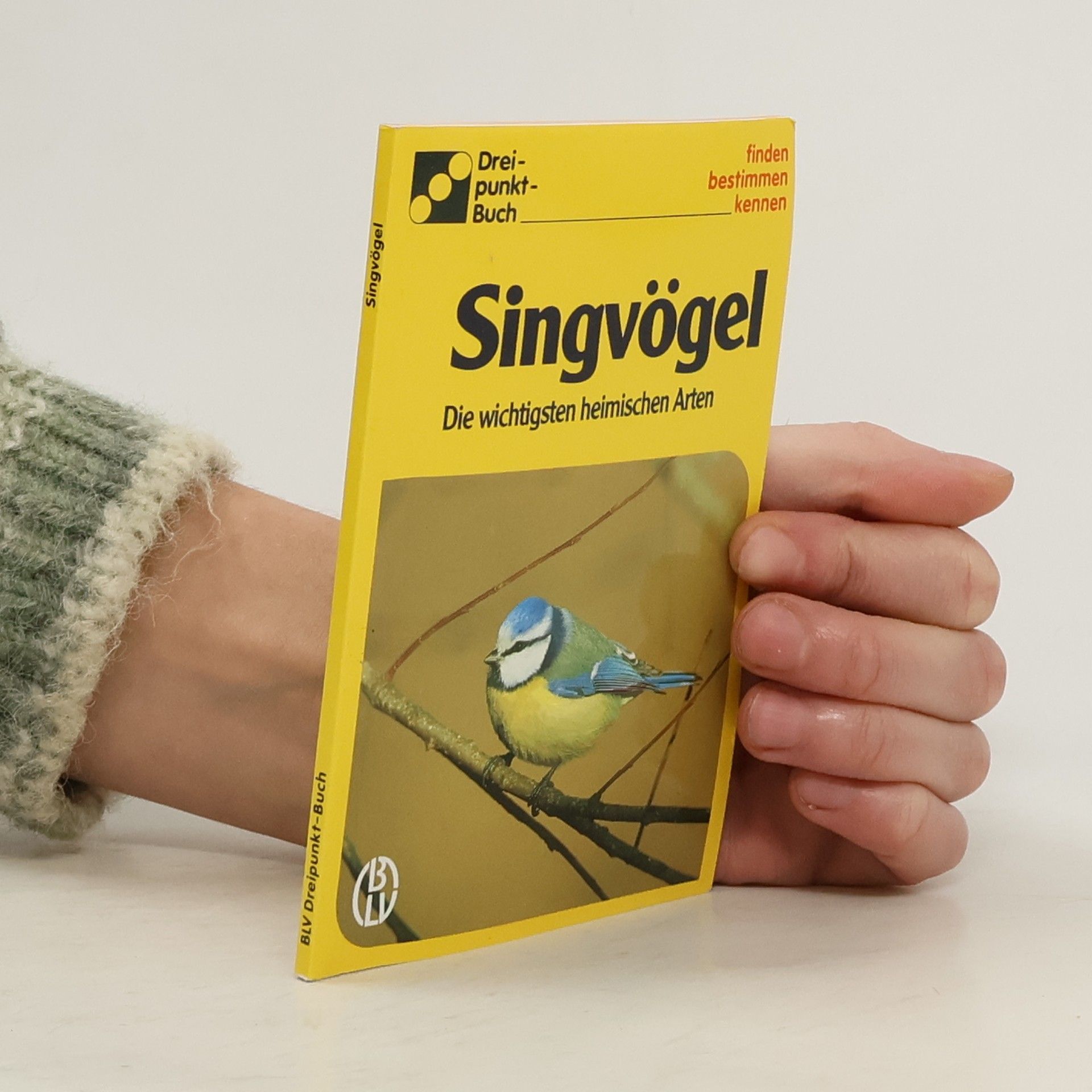 Alfred Handel Singvögel