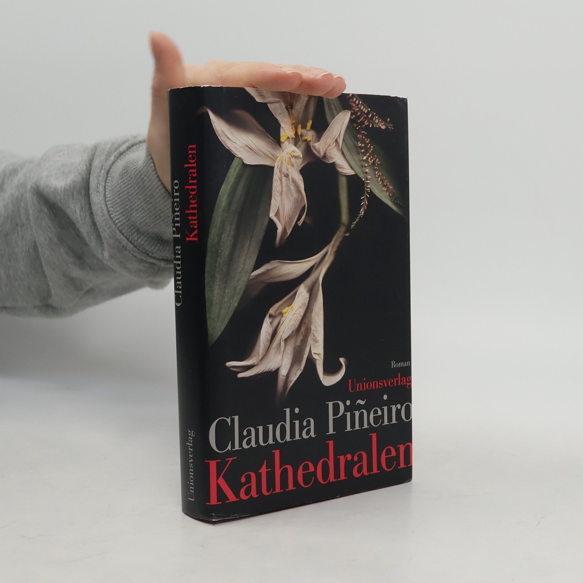 Claudia Piñeiro Kathedralen