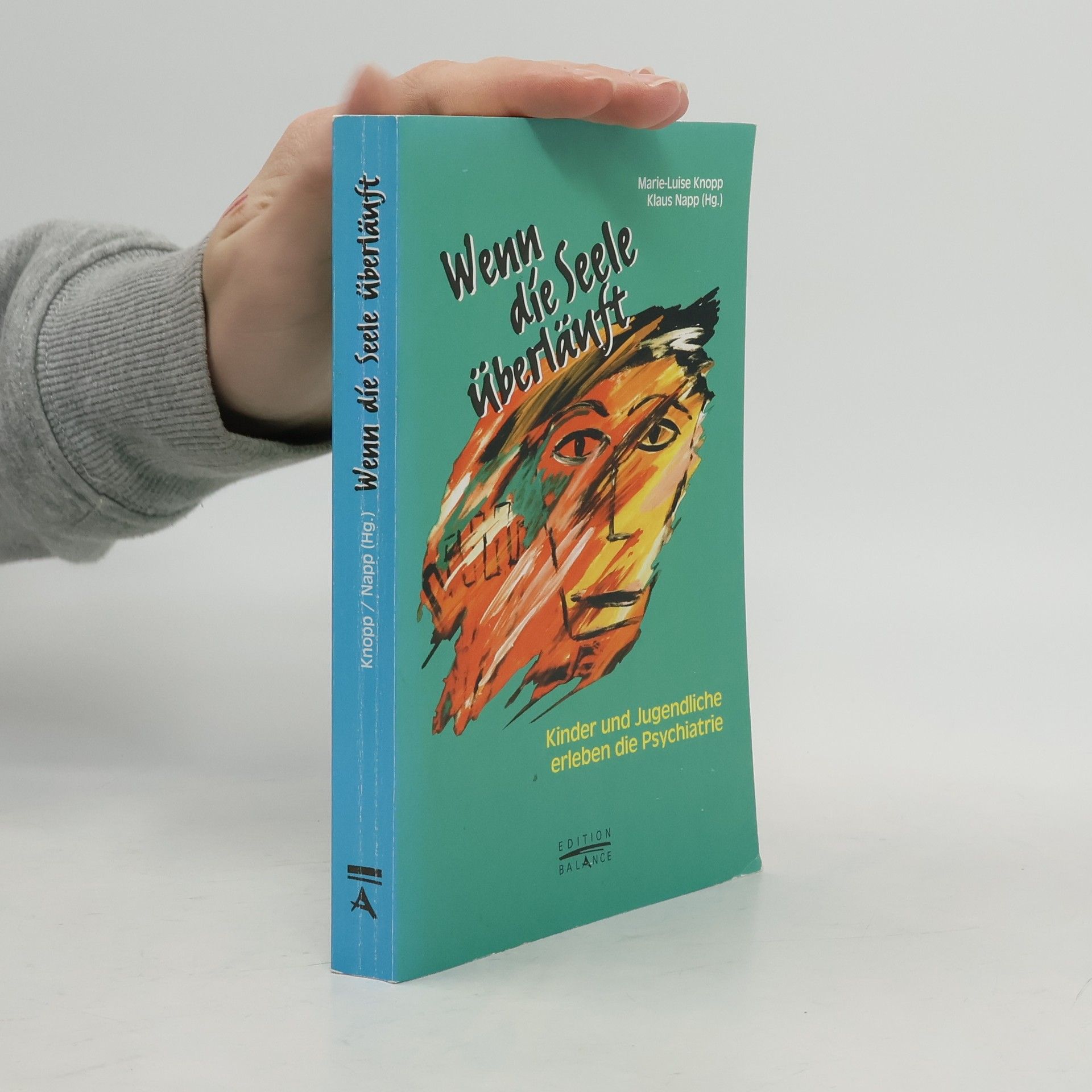 Marie-Luise Knopp Wenn die Seele überläuft