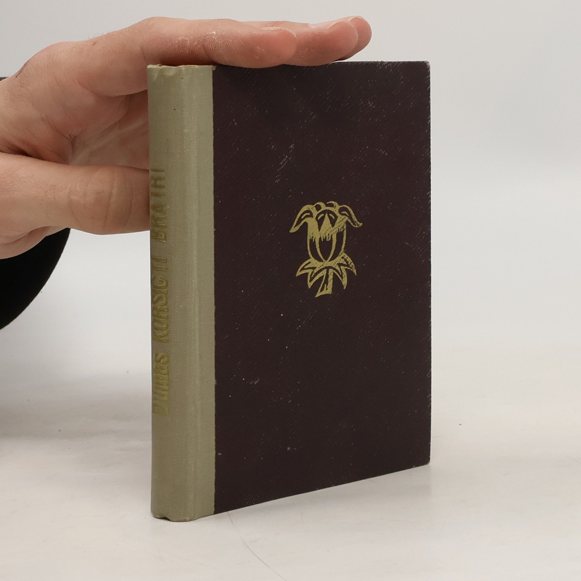 Alexandre Dumas Korsičtí bratři