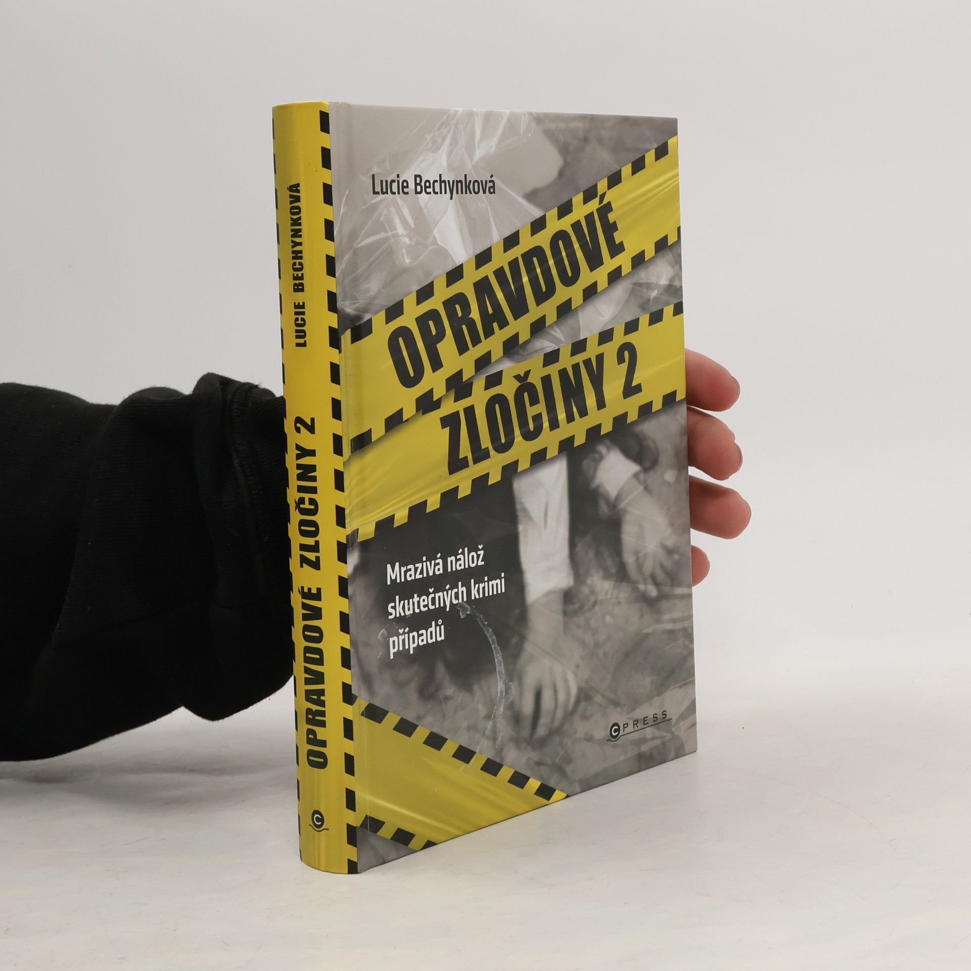 Opravdové zločiny 2