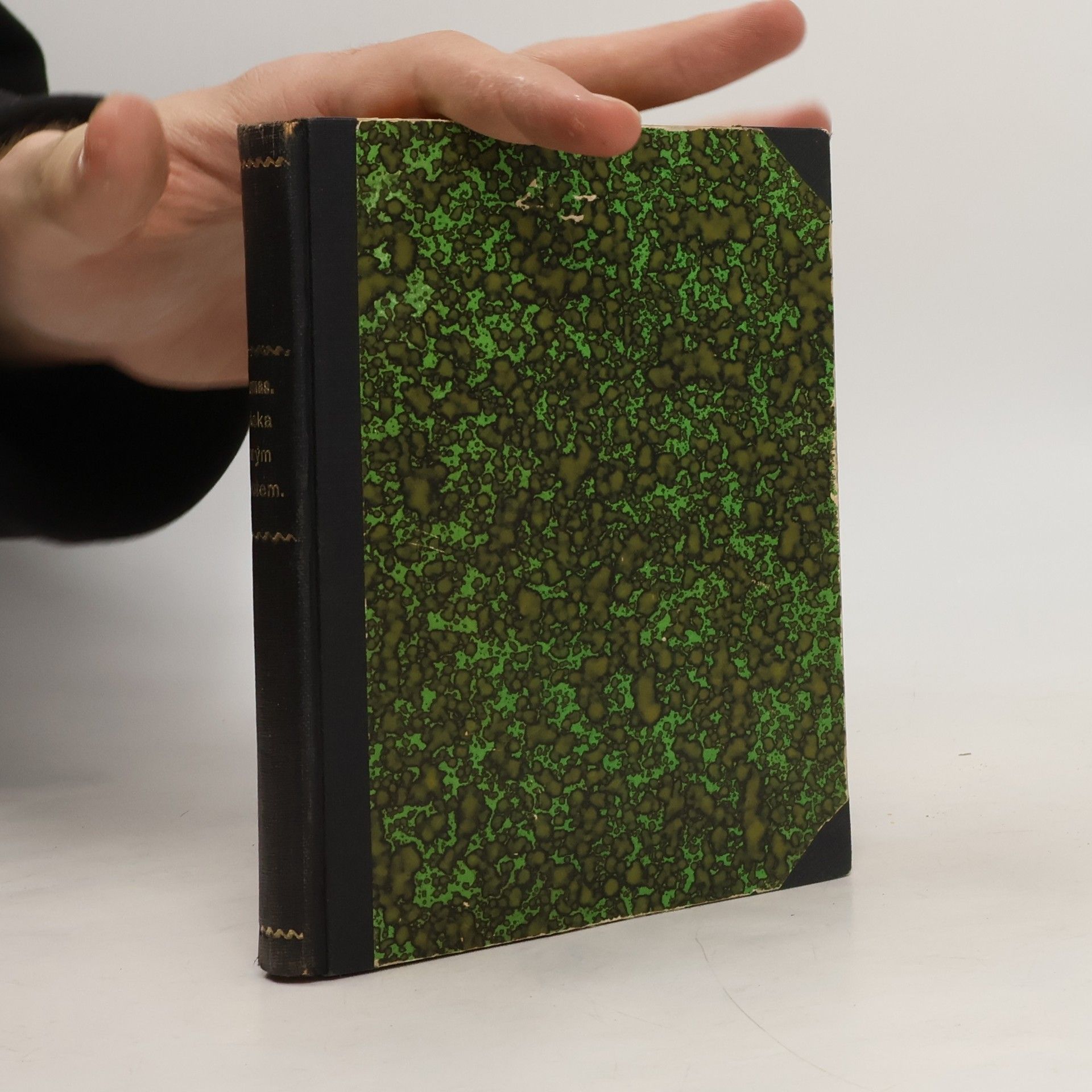 Alexandre Dumas starší Láska mým životem!