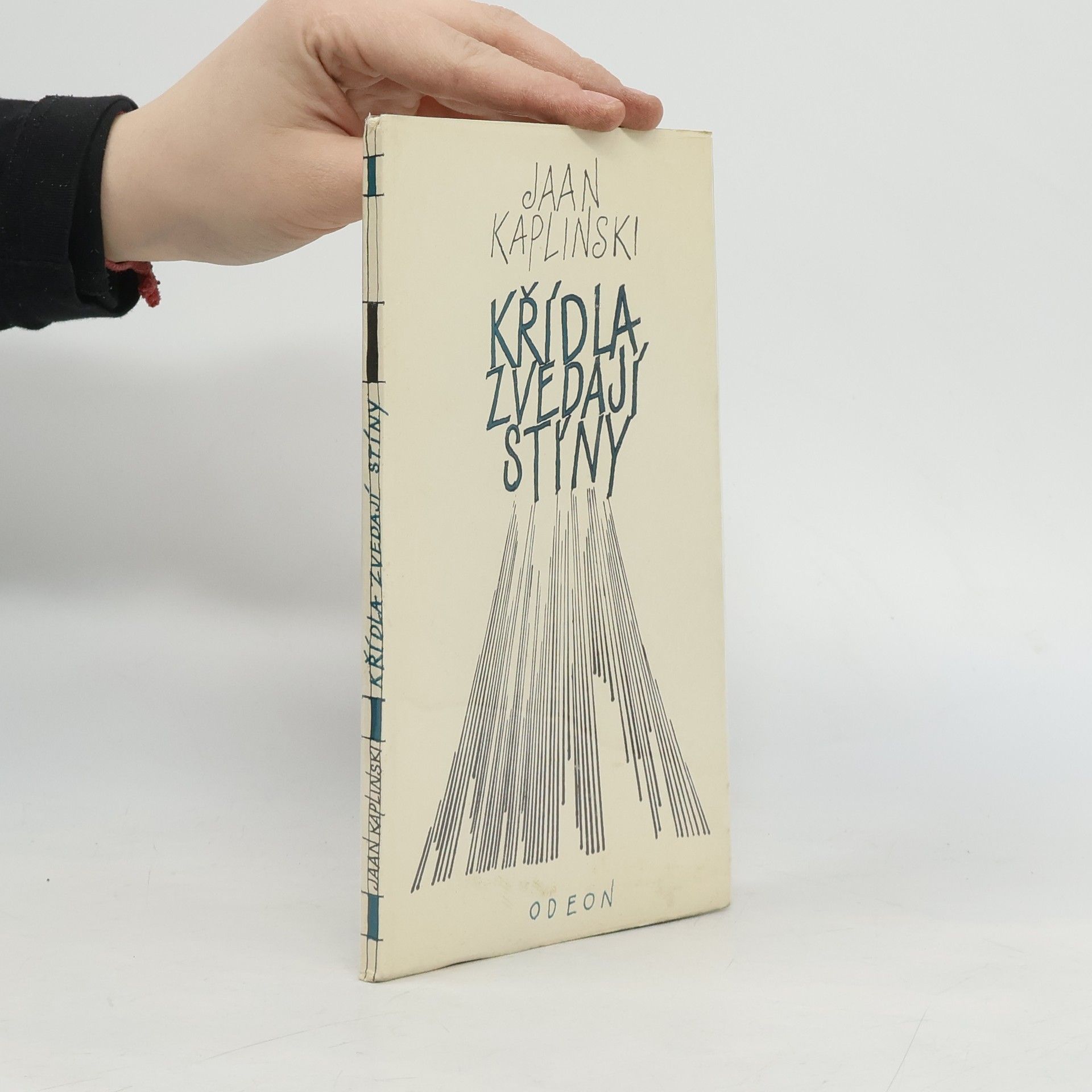 Křídla zvedají stíny