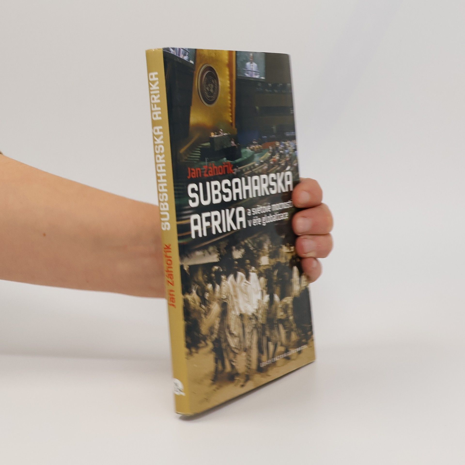 Subsaharská Afrika a světové mocnosti v éře globalizace