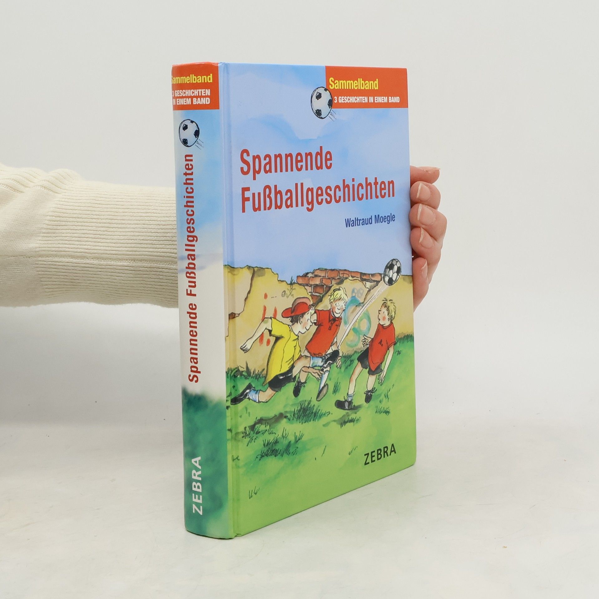 Waltraud Moegle Spannende Fussballgeschichten