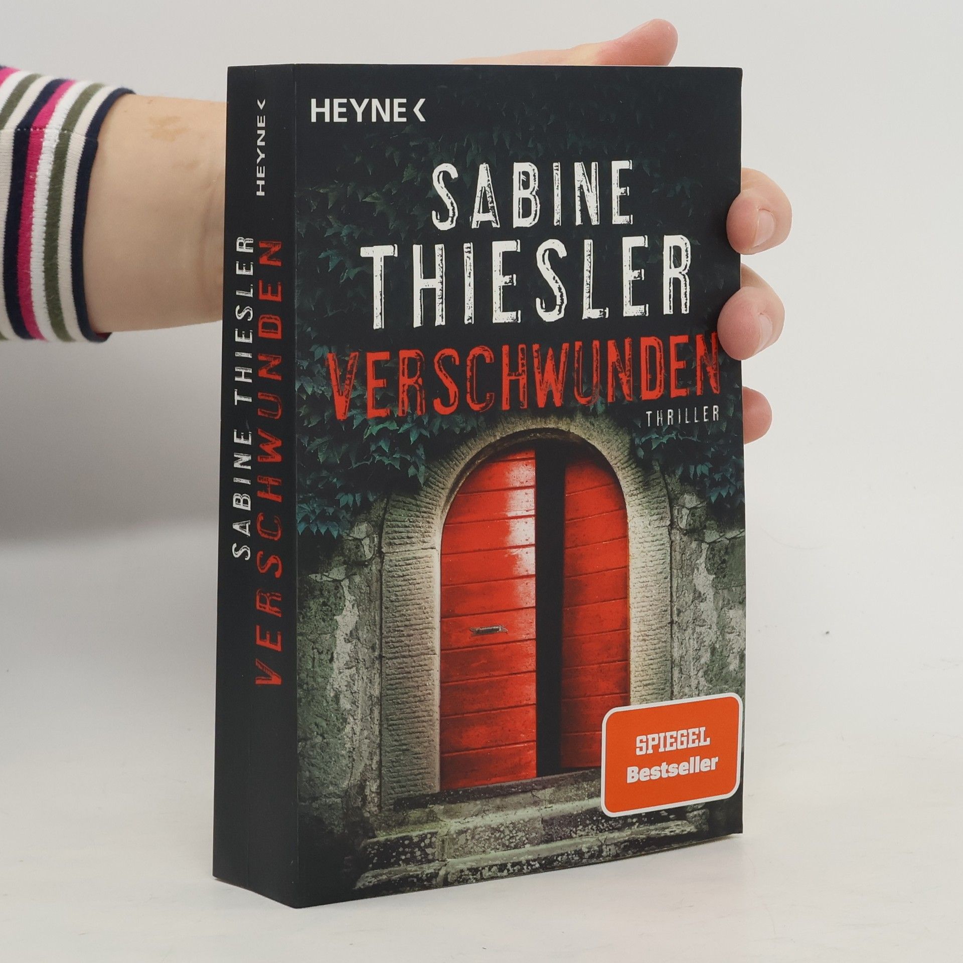 Sabine Thiesler Verschwunden