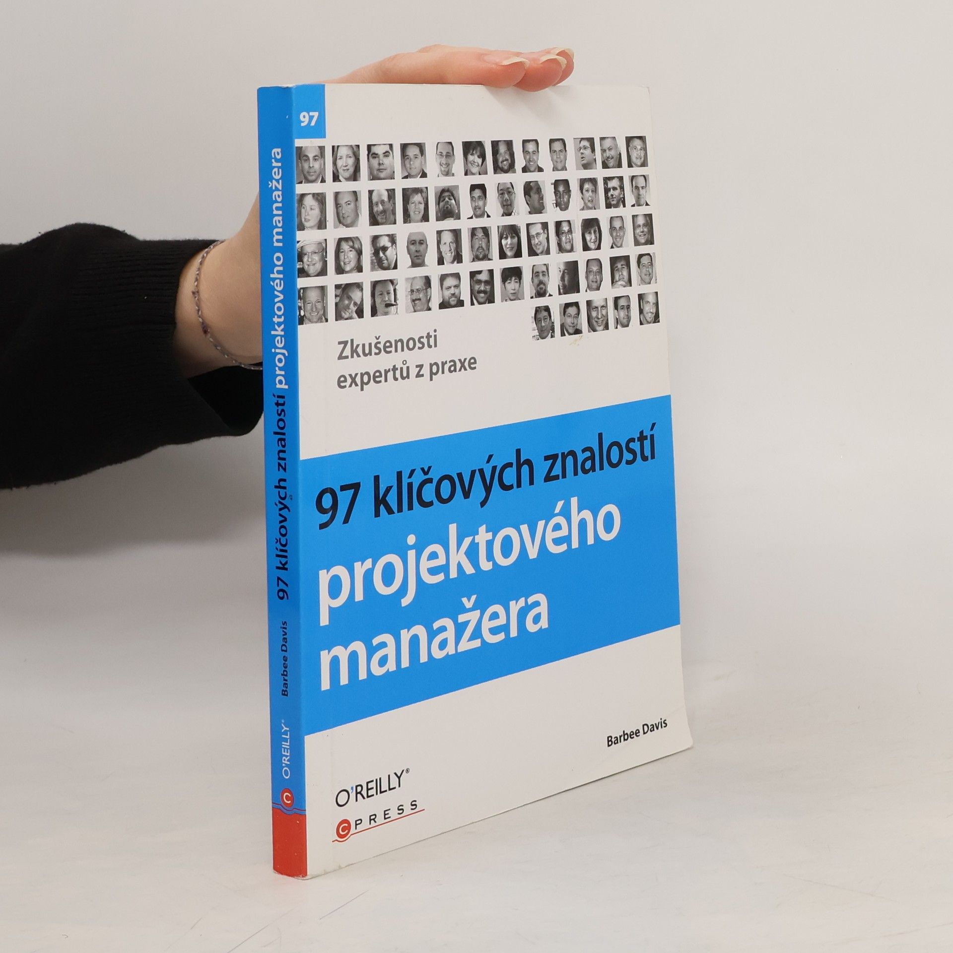 Barbee Davis 97 klíčových znalostí projektového manažera