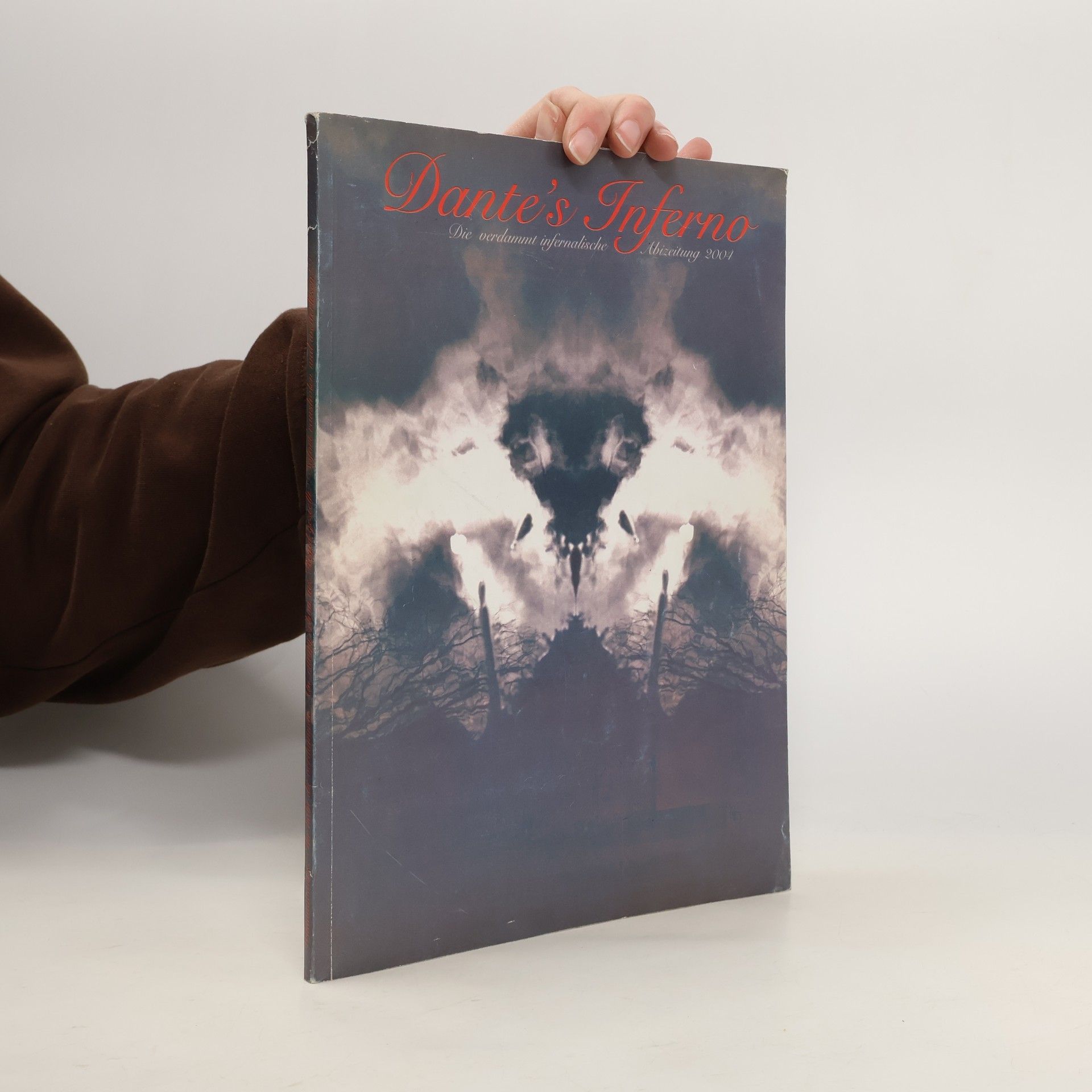 Collectif d'auteurs Dante's Inferno. Die verdammt infernalische. Abizeitung 2004