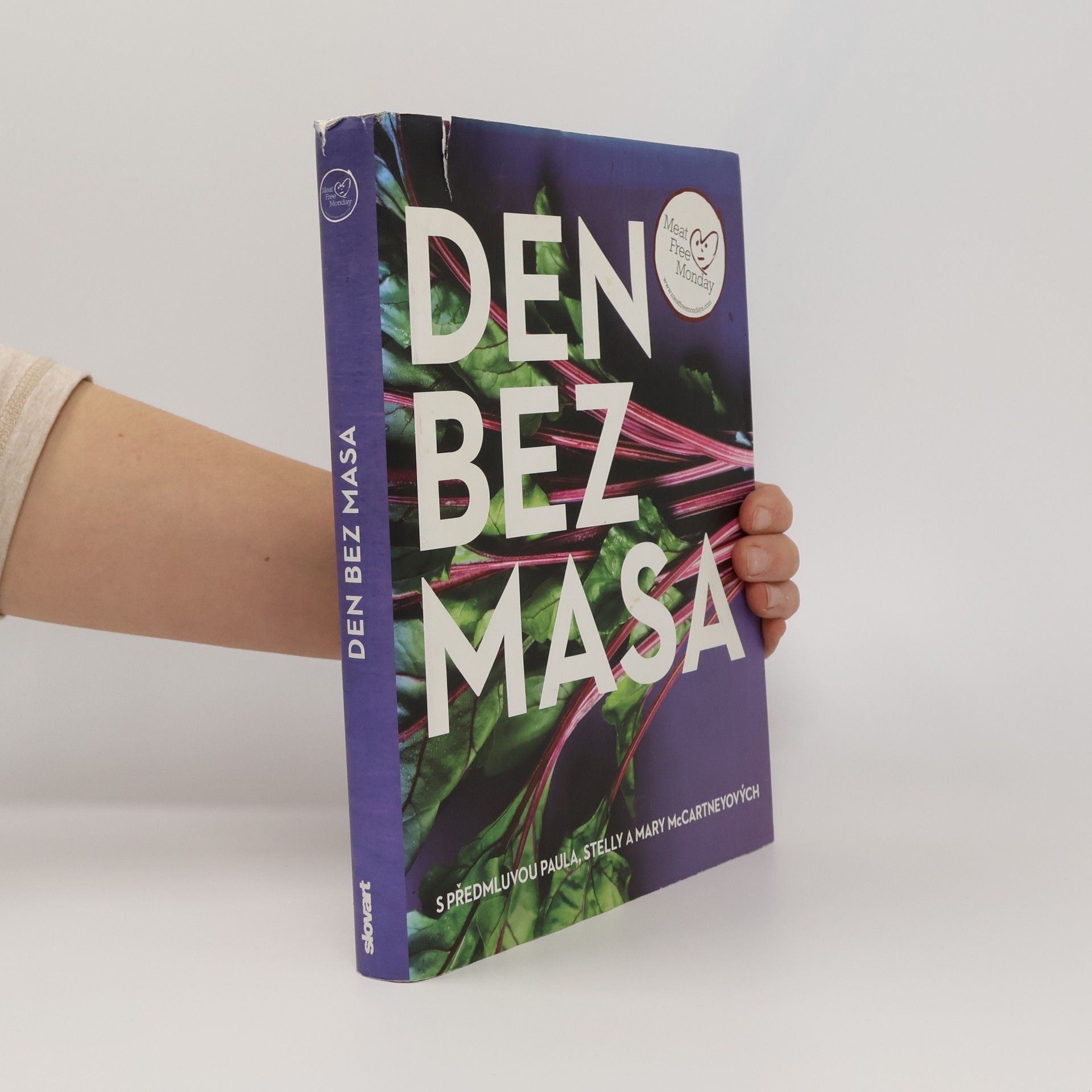 Annie Rigg Den bez masa