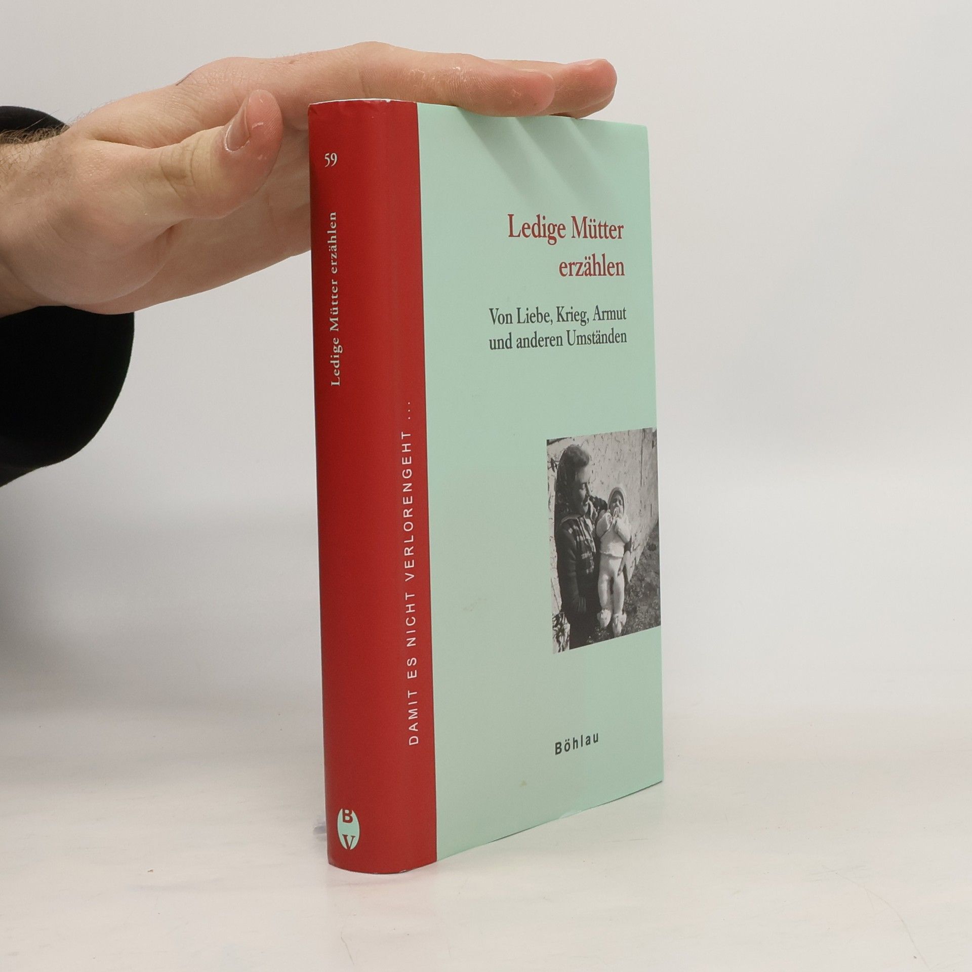 Kolektív autorov Ledige Mütter erzählen