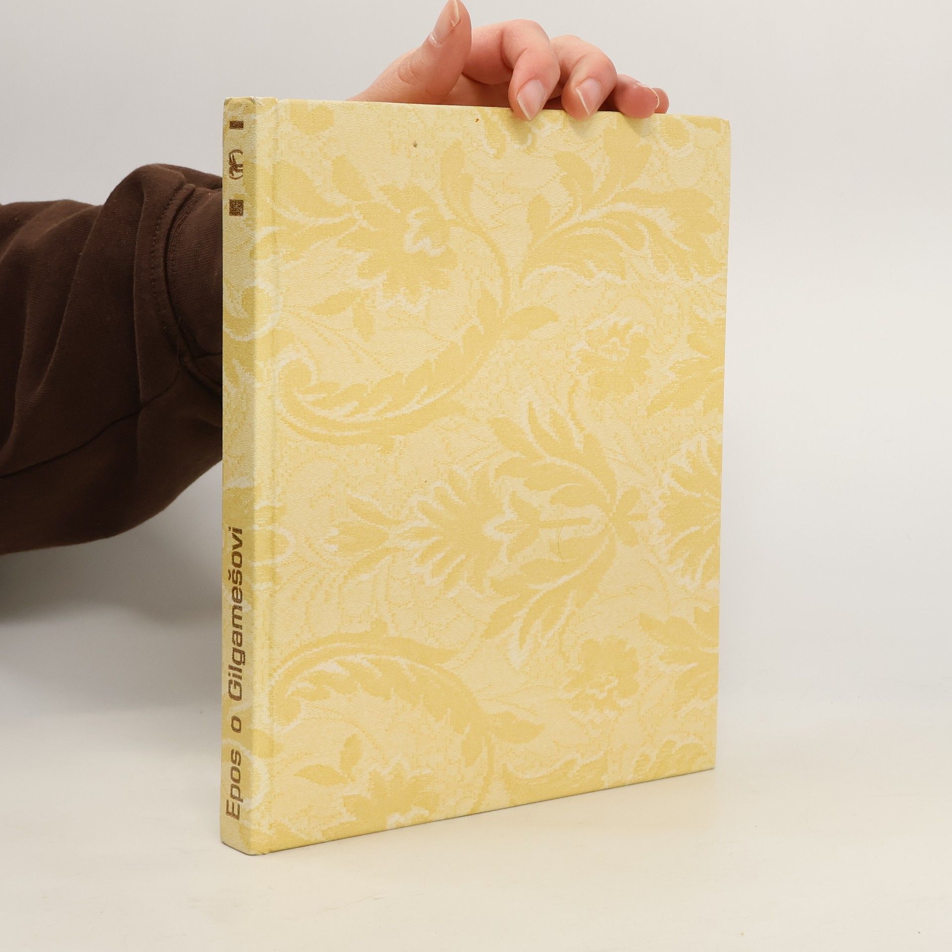 AA.VV. Epos o Gilgamešovi