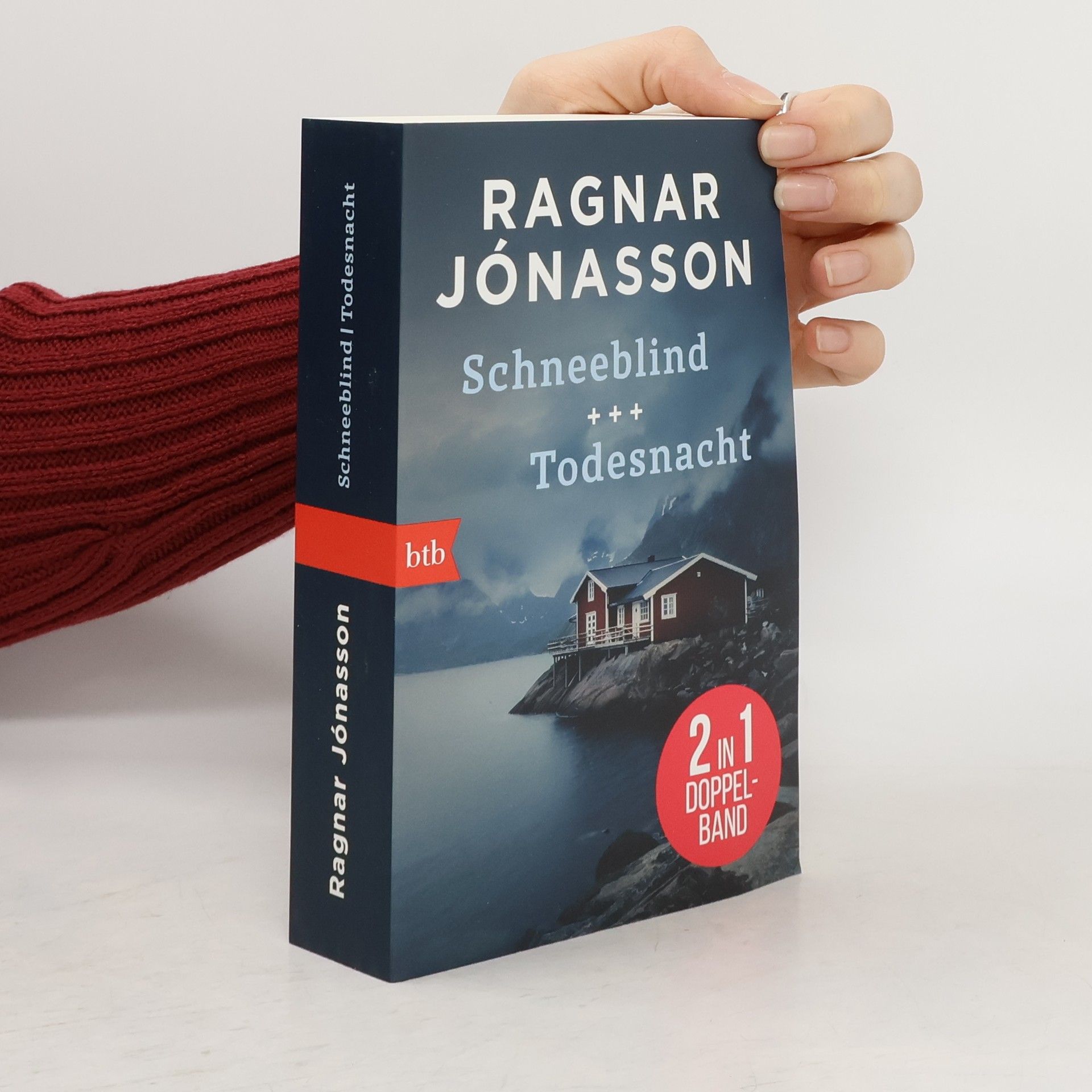 Ragnar Jónasson Schneeblind & Todesnacht