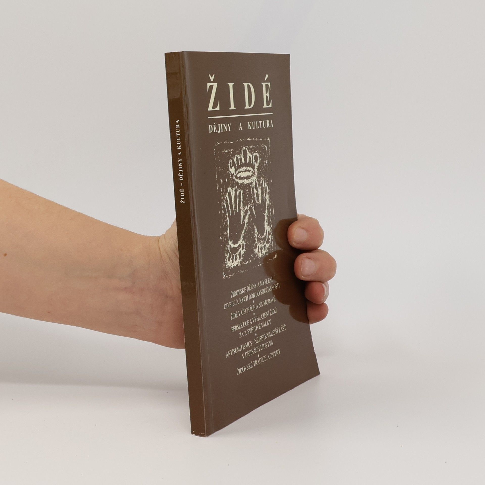 Autorenkollektiv Židé. Dějiny a kultura