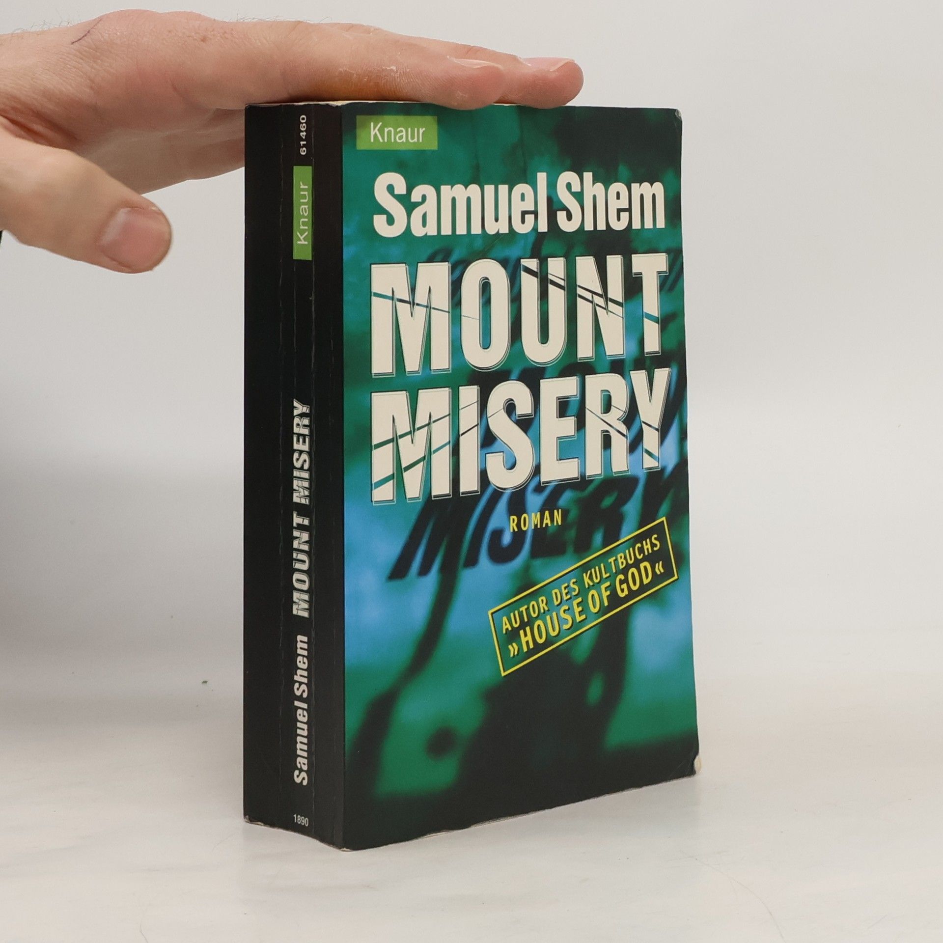 Samuel Shem Mount Misery