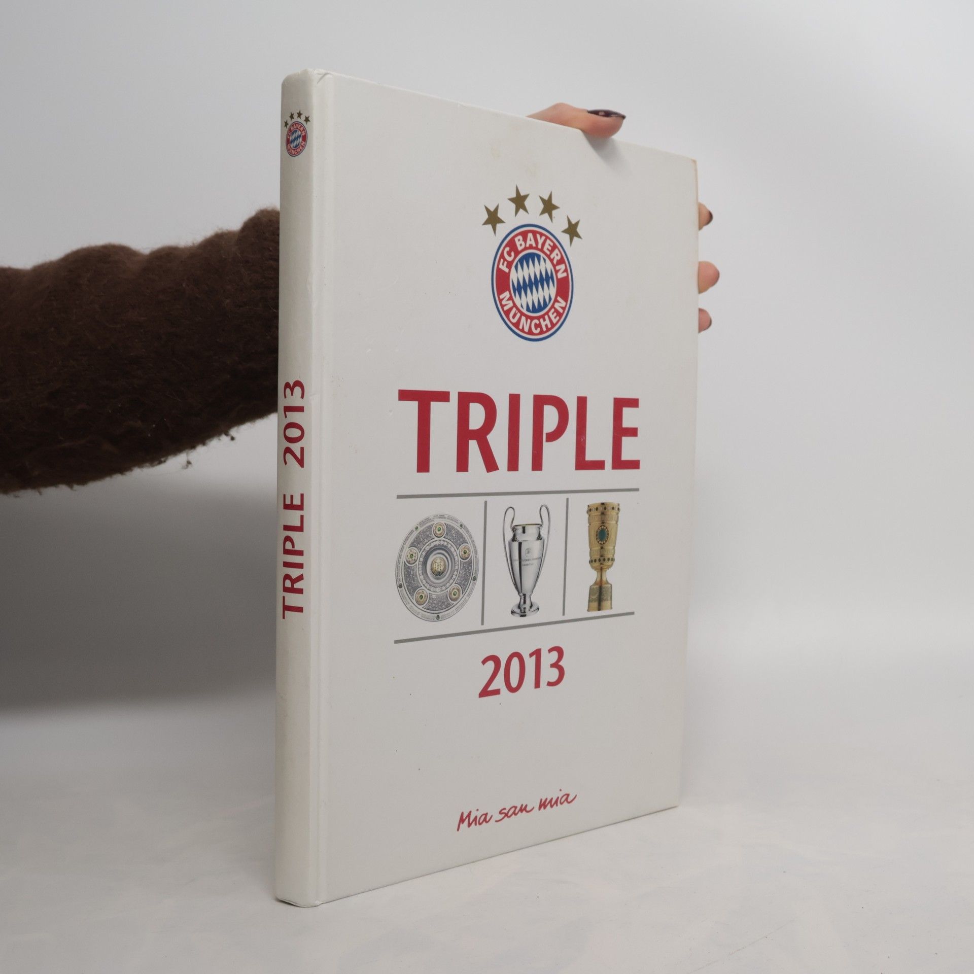FC Bayern München Triple 2013