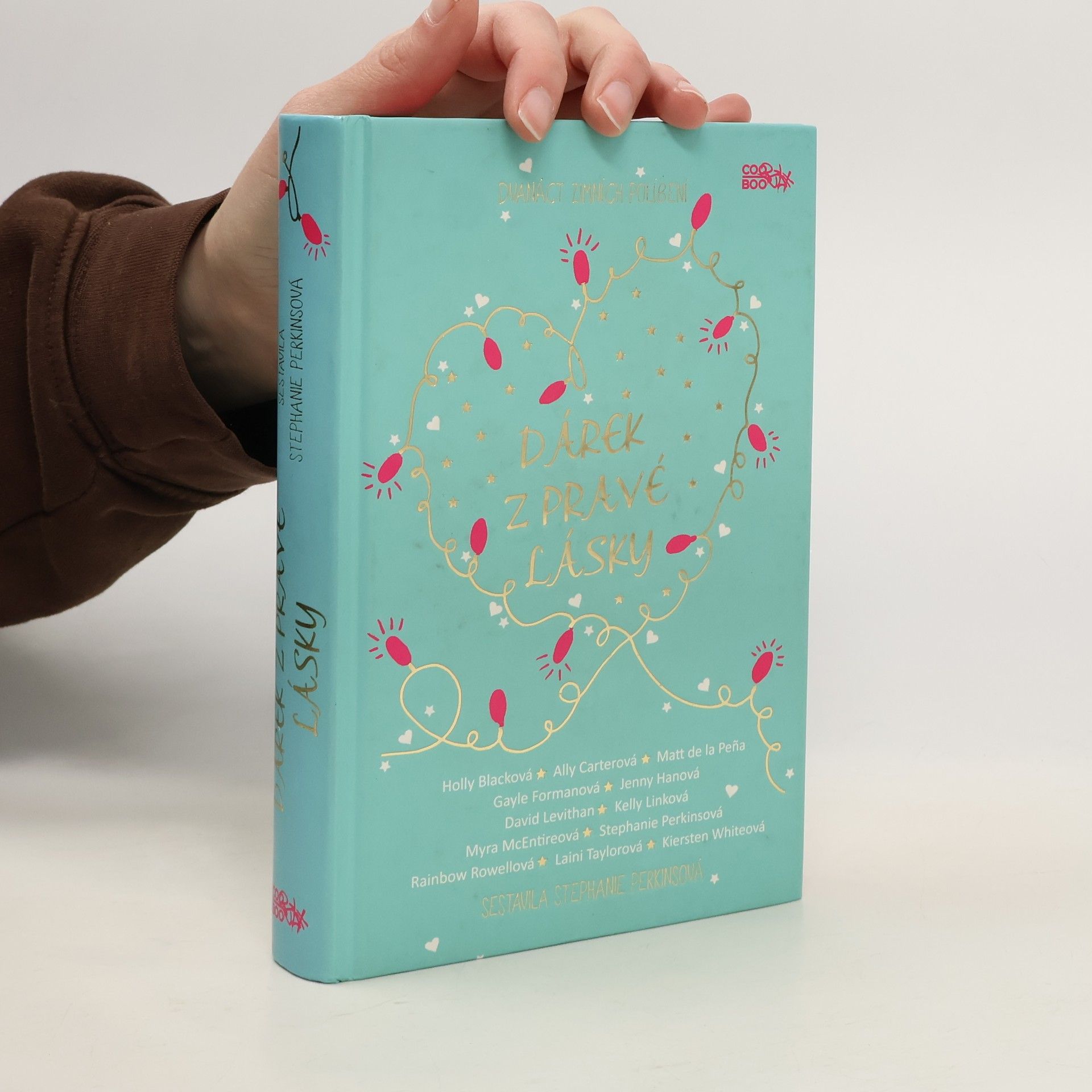 Stephanie Perkins Dárek z pravé lásky