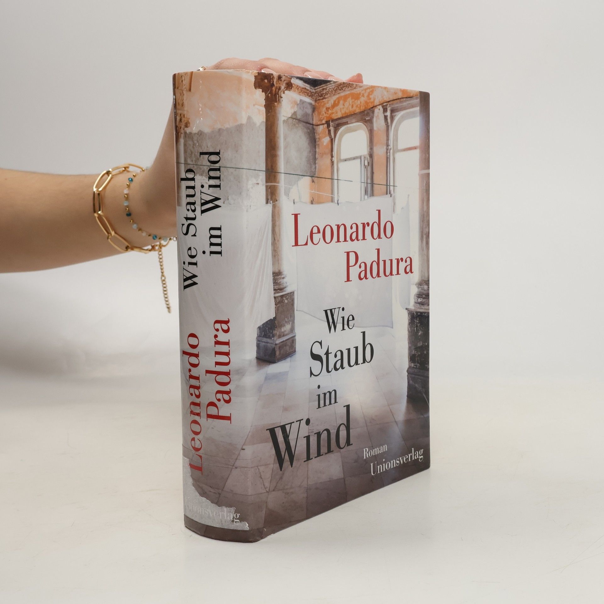 Leonardo Padura Wie Staub im Wind