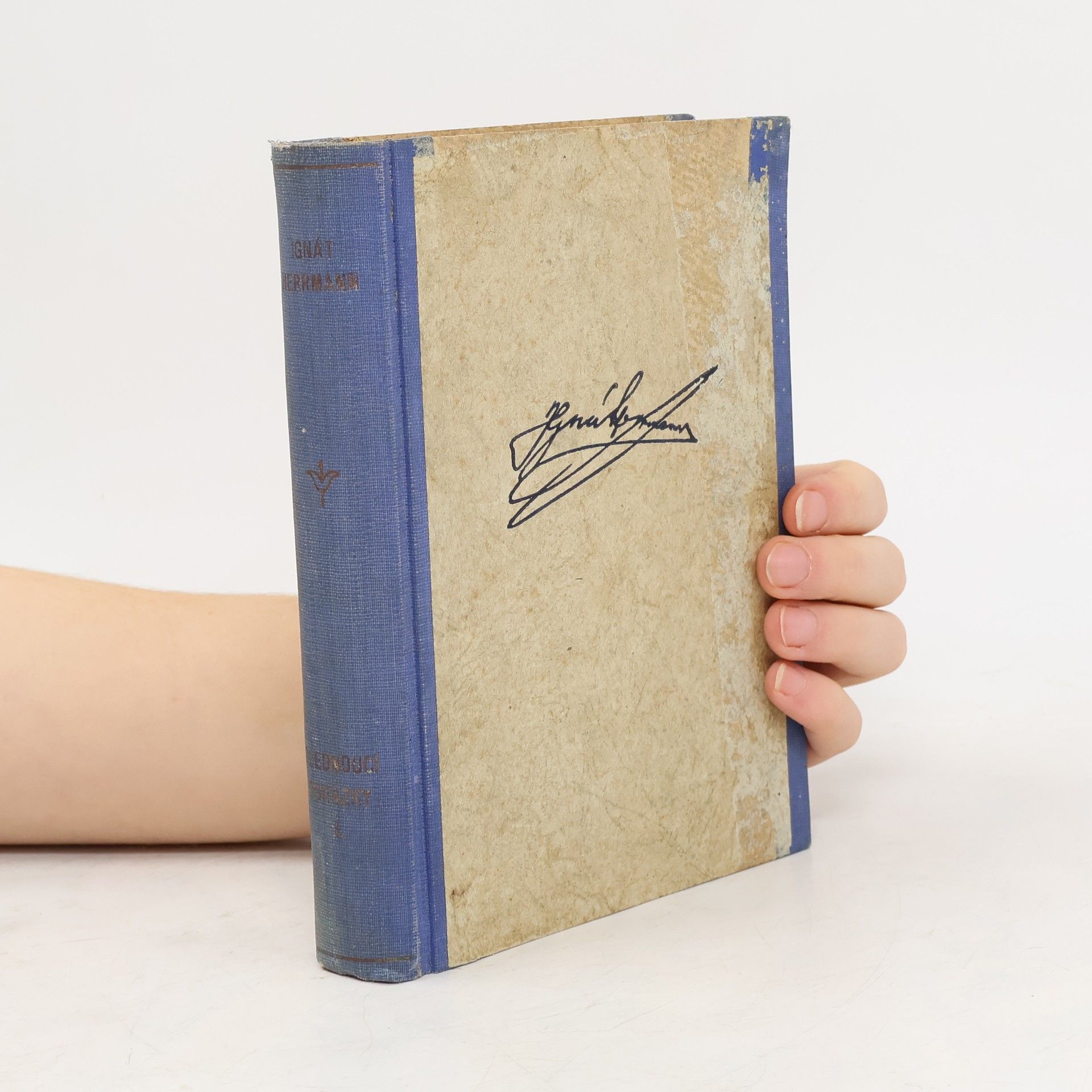 Ignát Herrmann Blednoucí obrázky