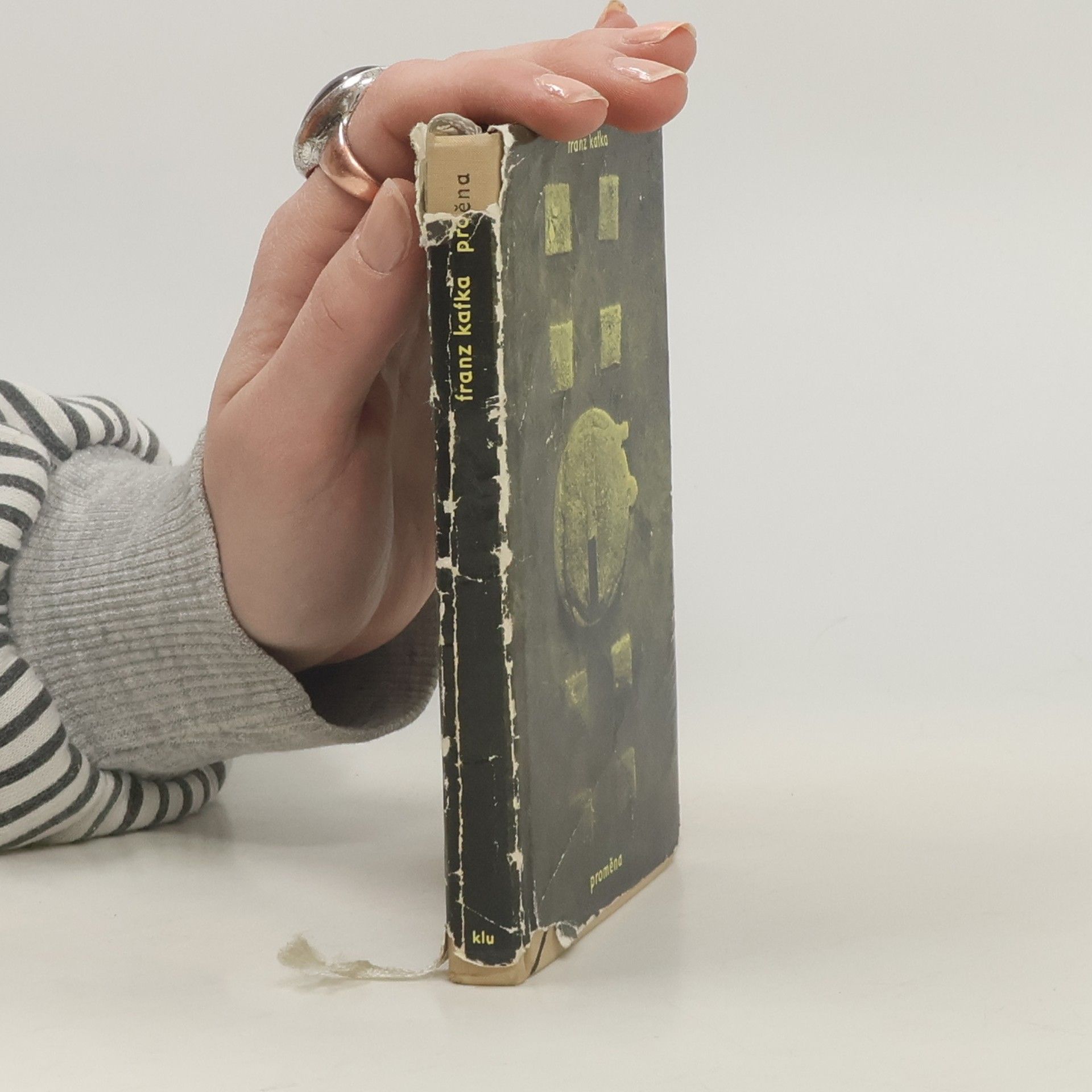 Franz Kafka Proměna