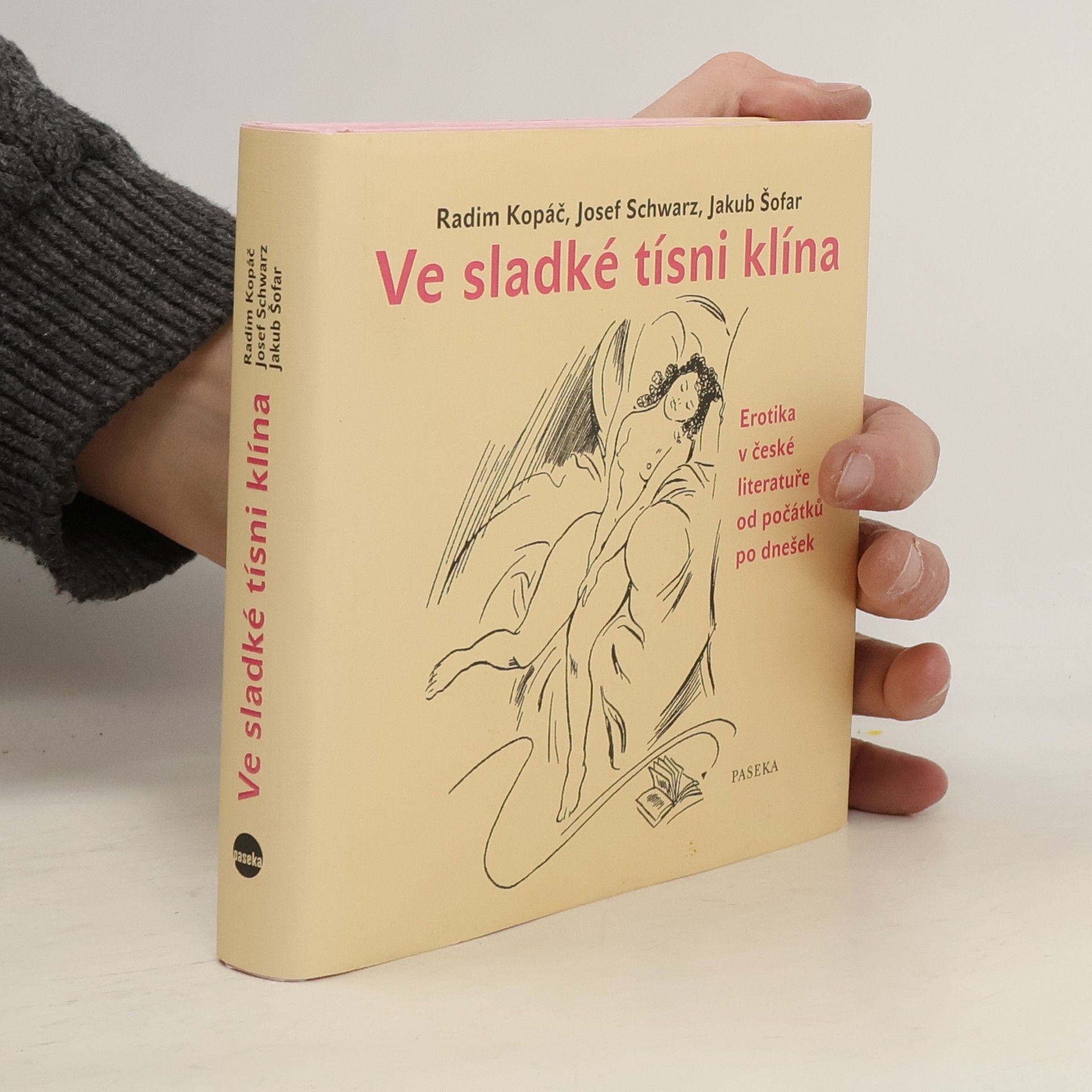 Ve sladké tísni klína. Erotika v české literatuře od počátků po dnešek