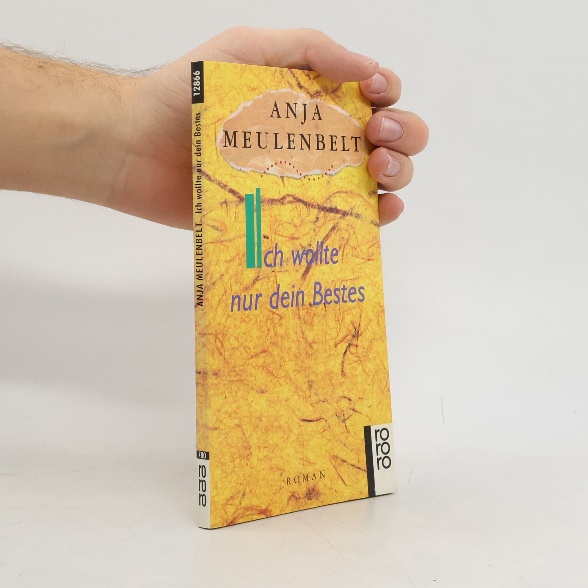 Anja Meulenbelt Ich wollte nur dein Bestes