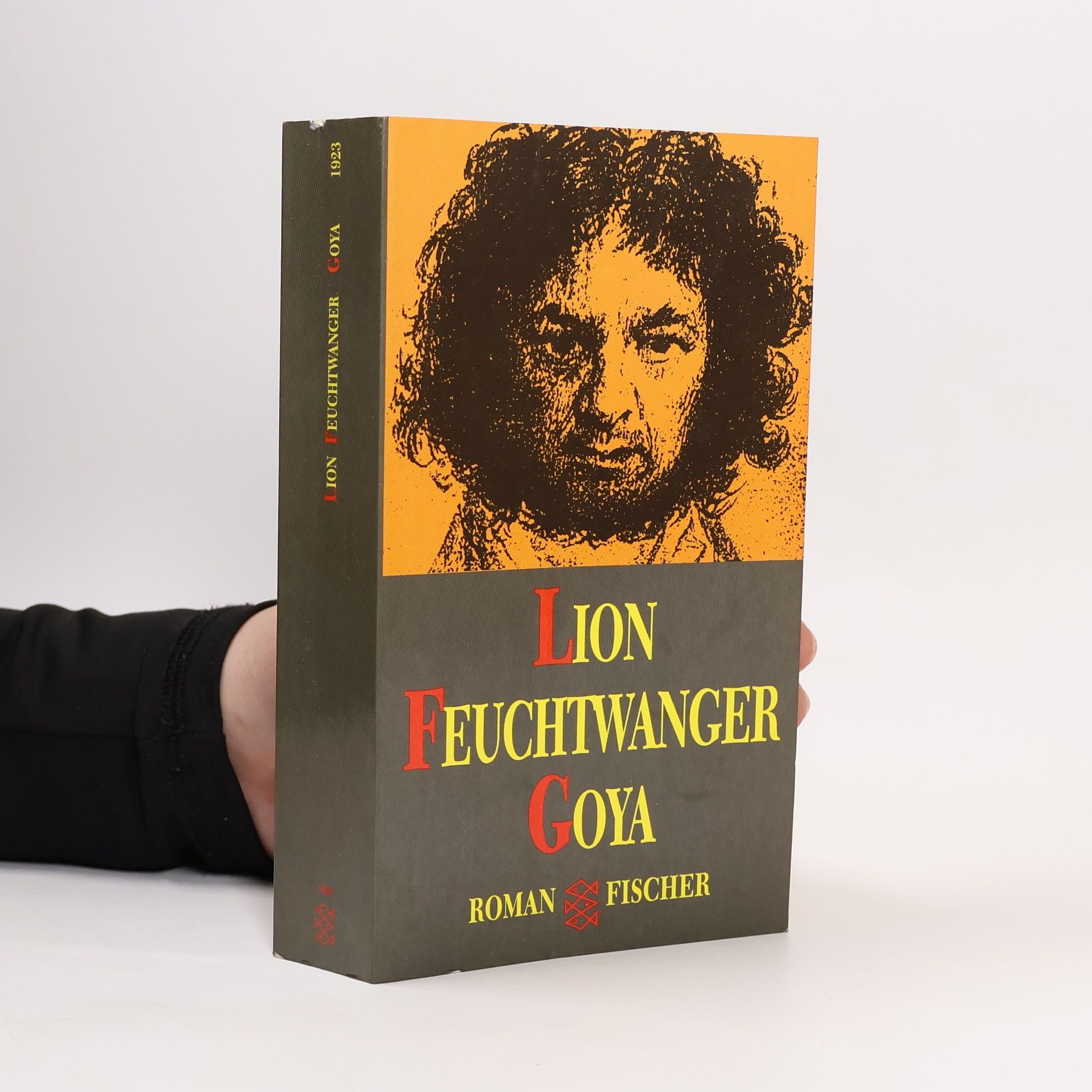 Goya oder der arge Weg der Erkenntnis