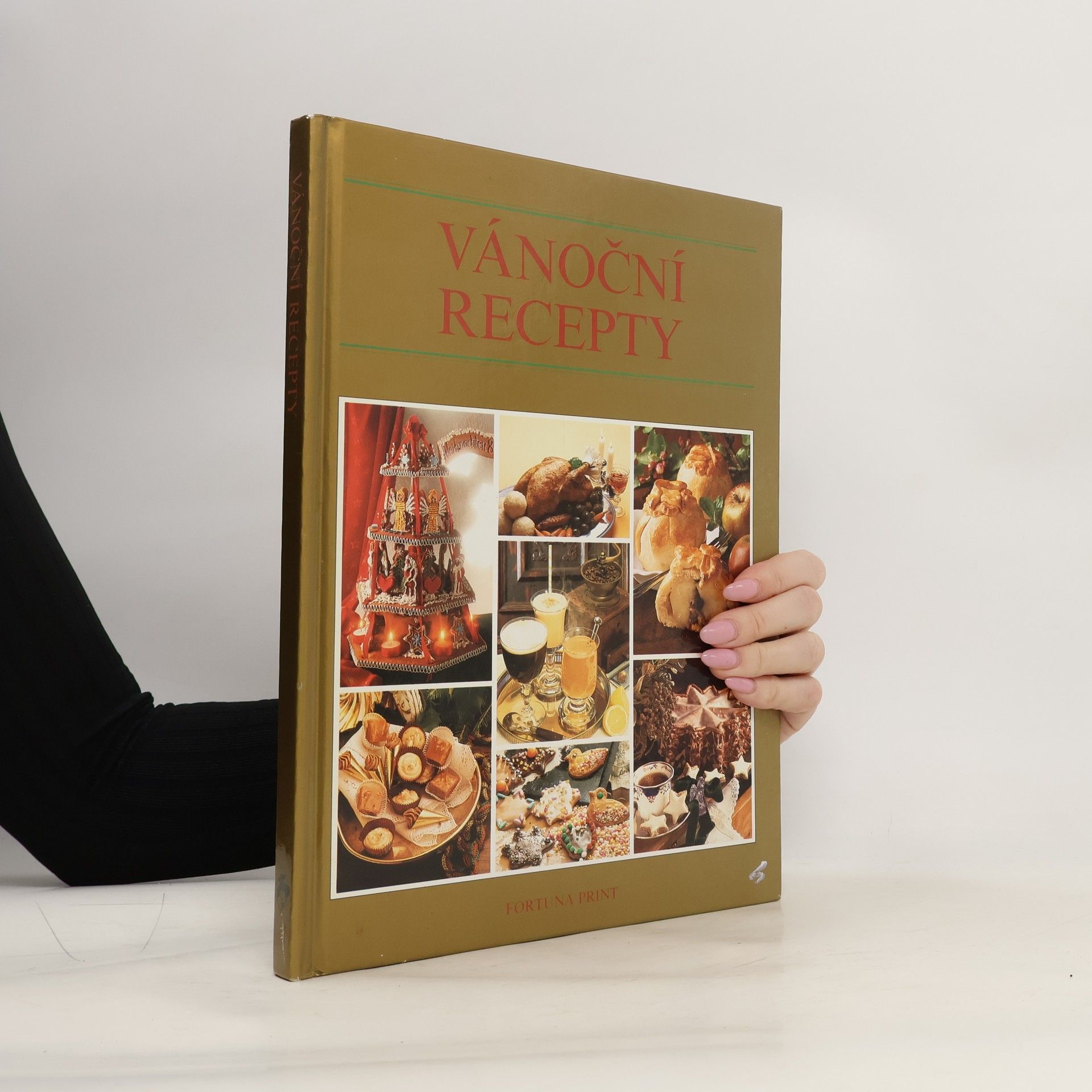 Andrea Schejbalová Vánoční recepty