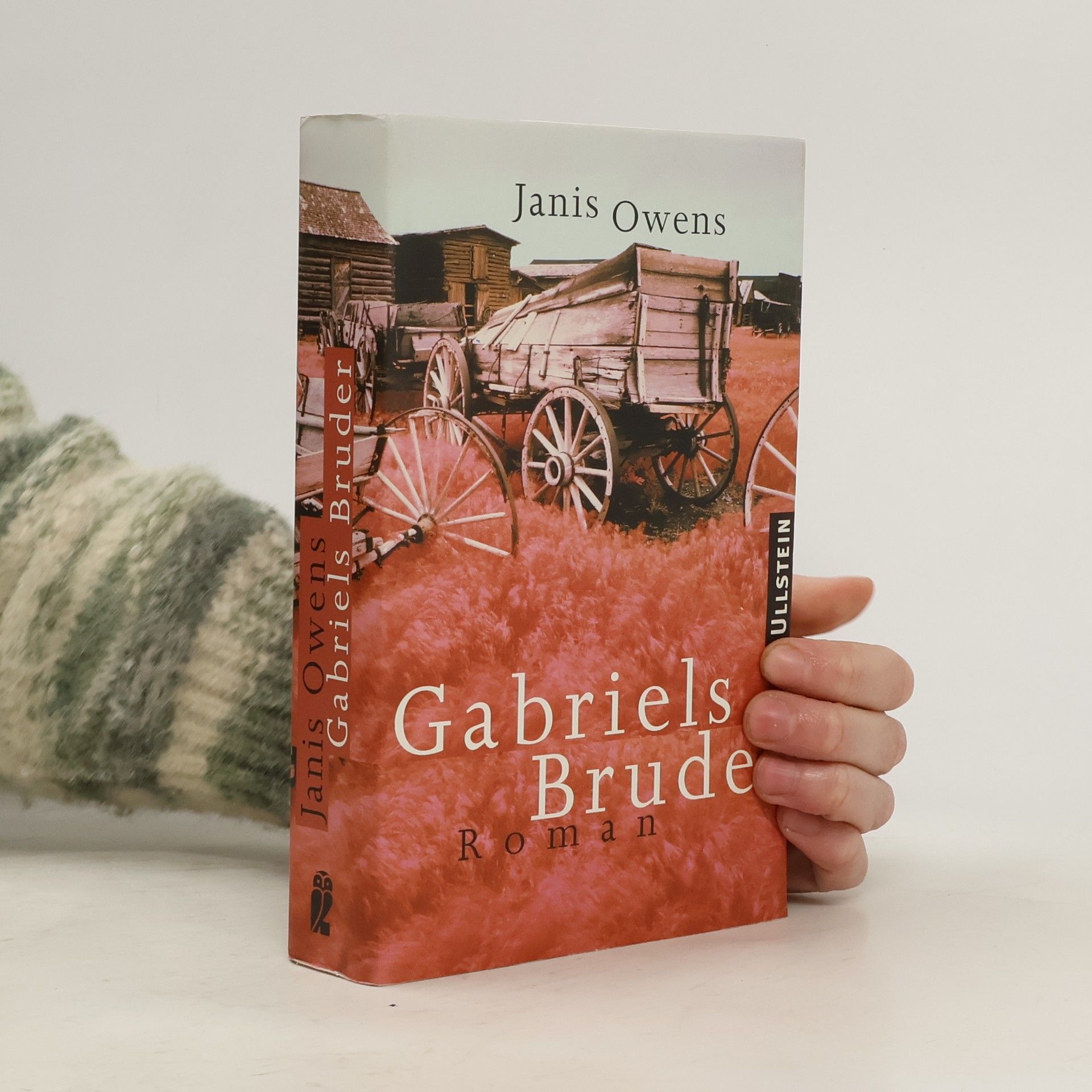 Janis Owens Gabriels Bruder