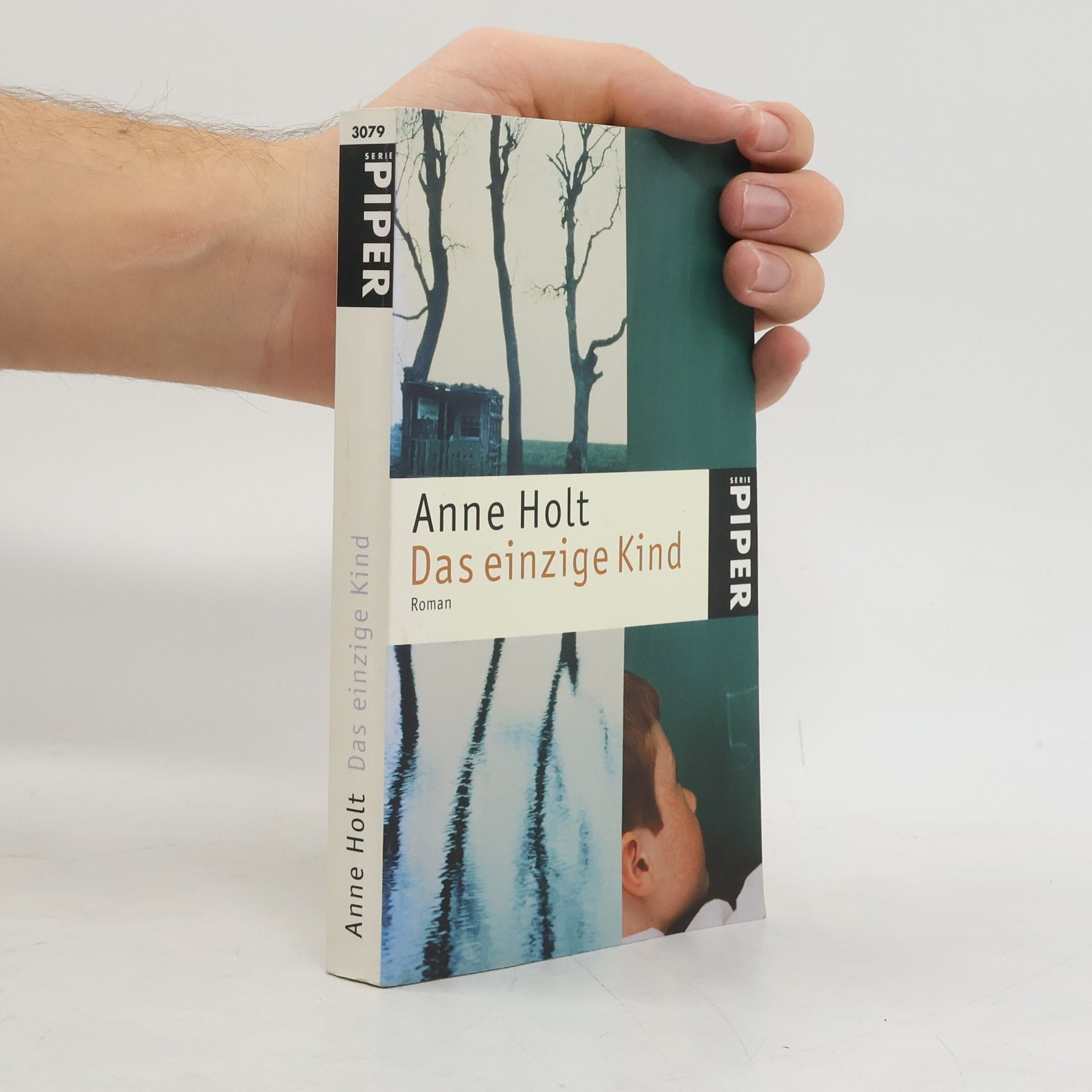 Anne Holt Das einzige Kind