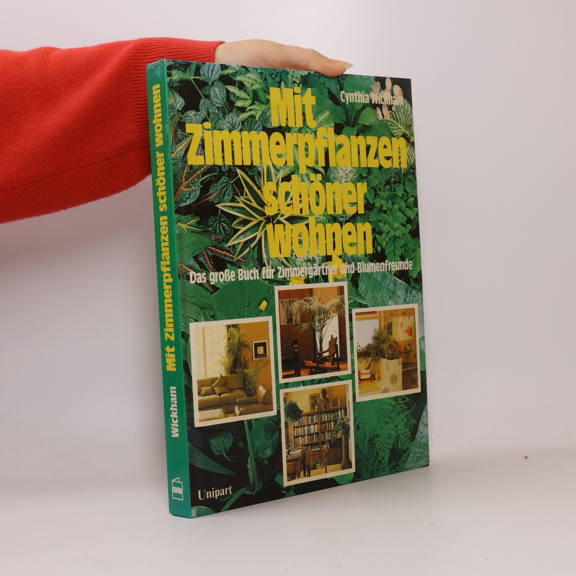 Mit Zimmerpflanzen schöner wohnen