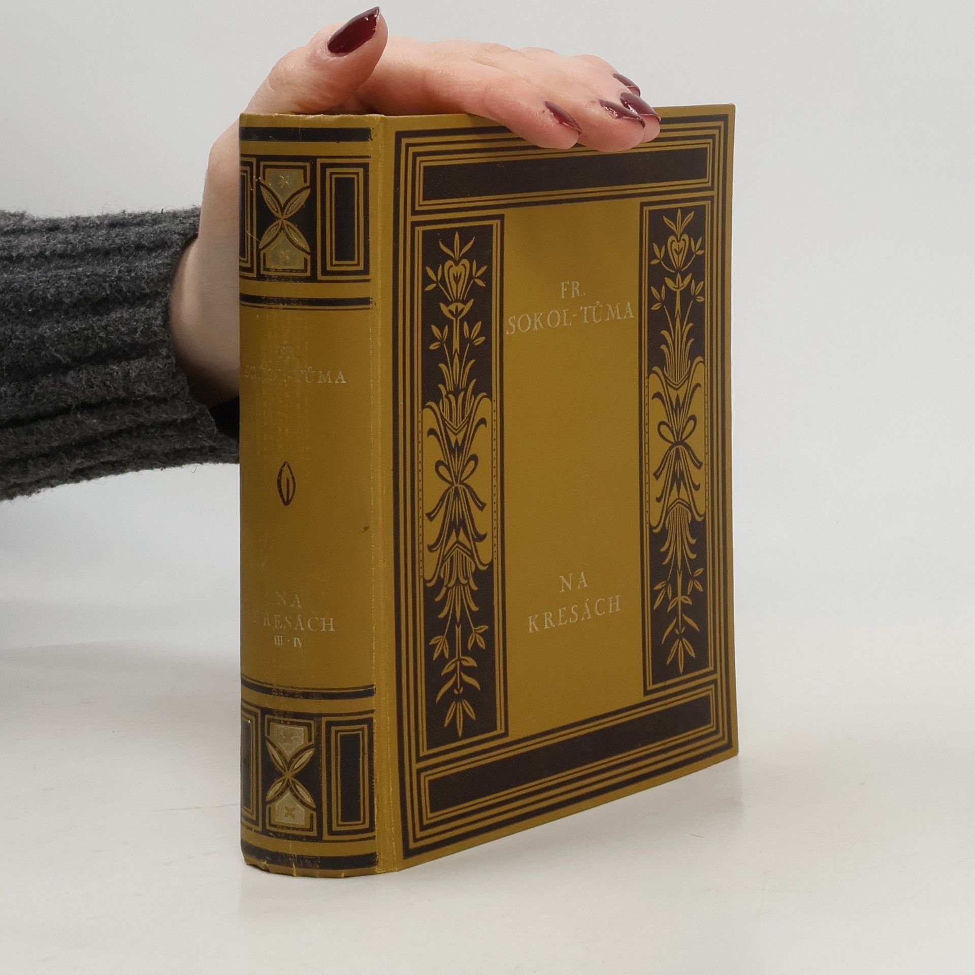 František Sokol Tůma Na kresách III. Původní román z kraje Bezručova