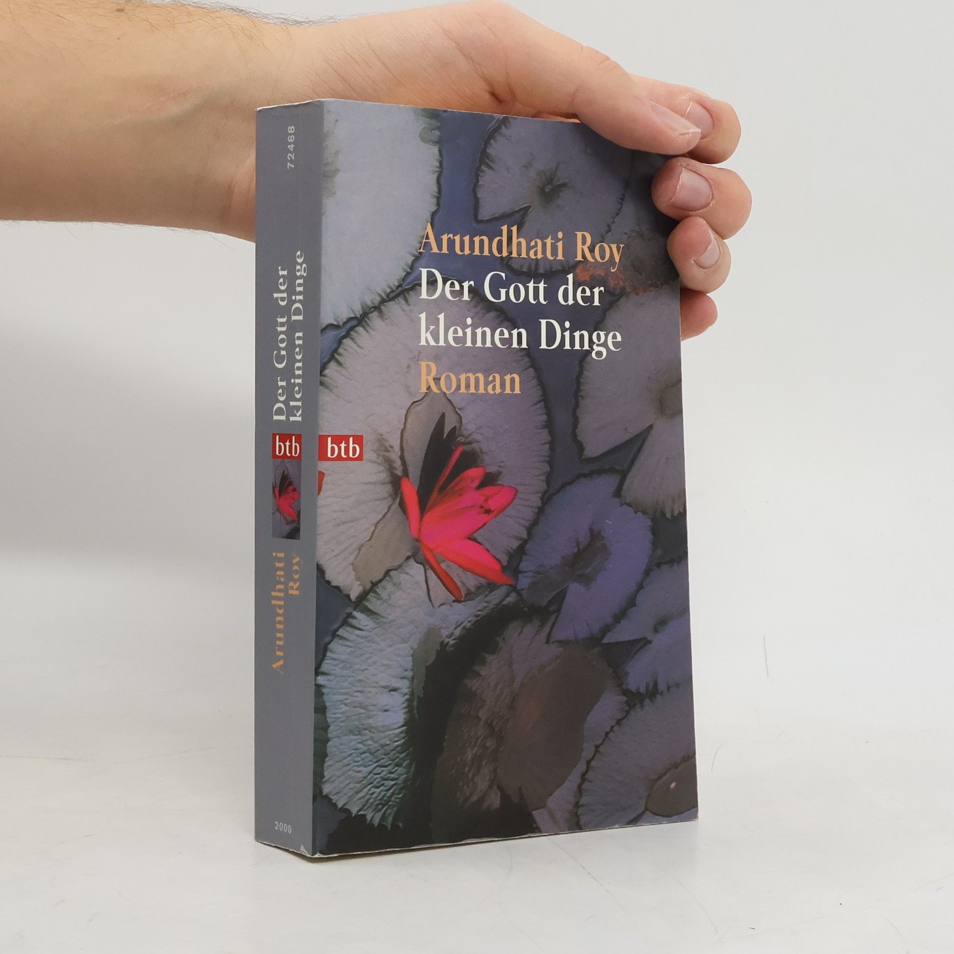 Arundhati Roy Der Gott der kleinen Dinge