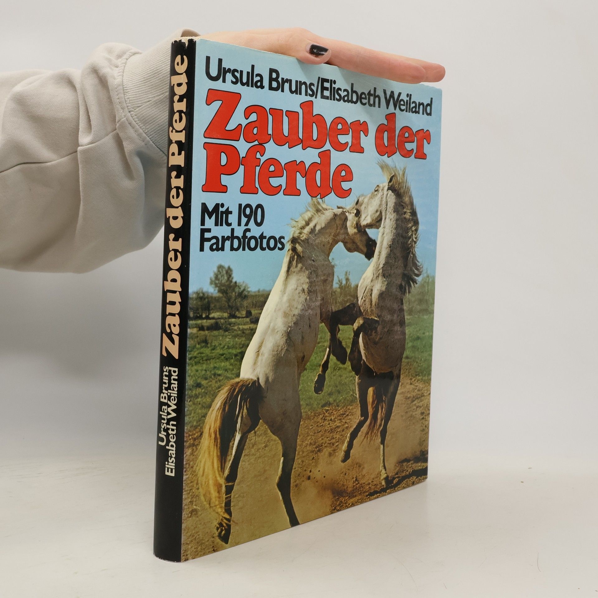 Ursula Bruns Zauber der Pferde