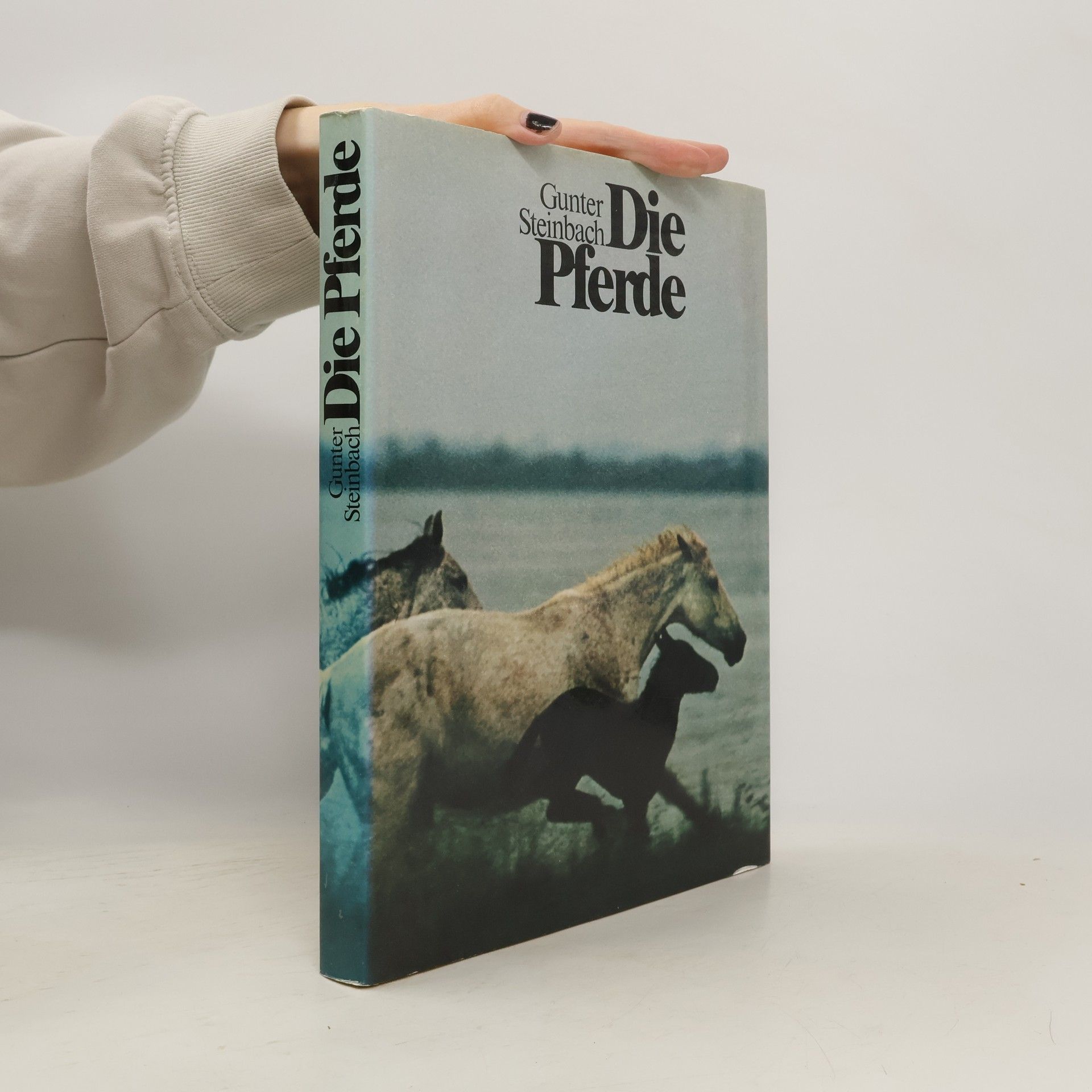 Gunter Steinbach Die Pferde