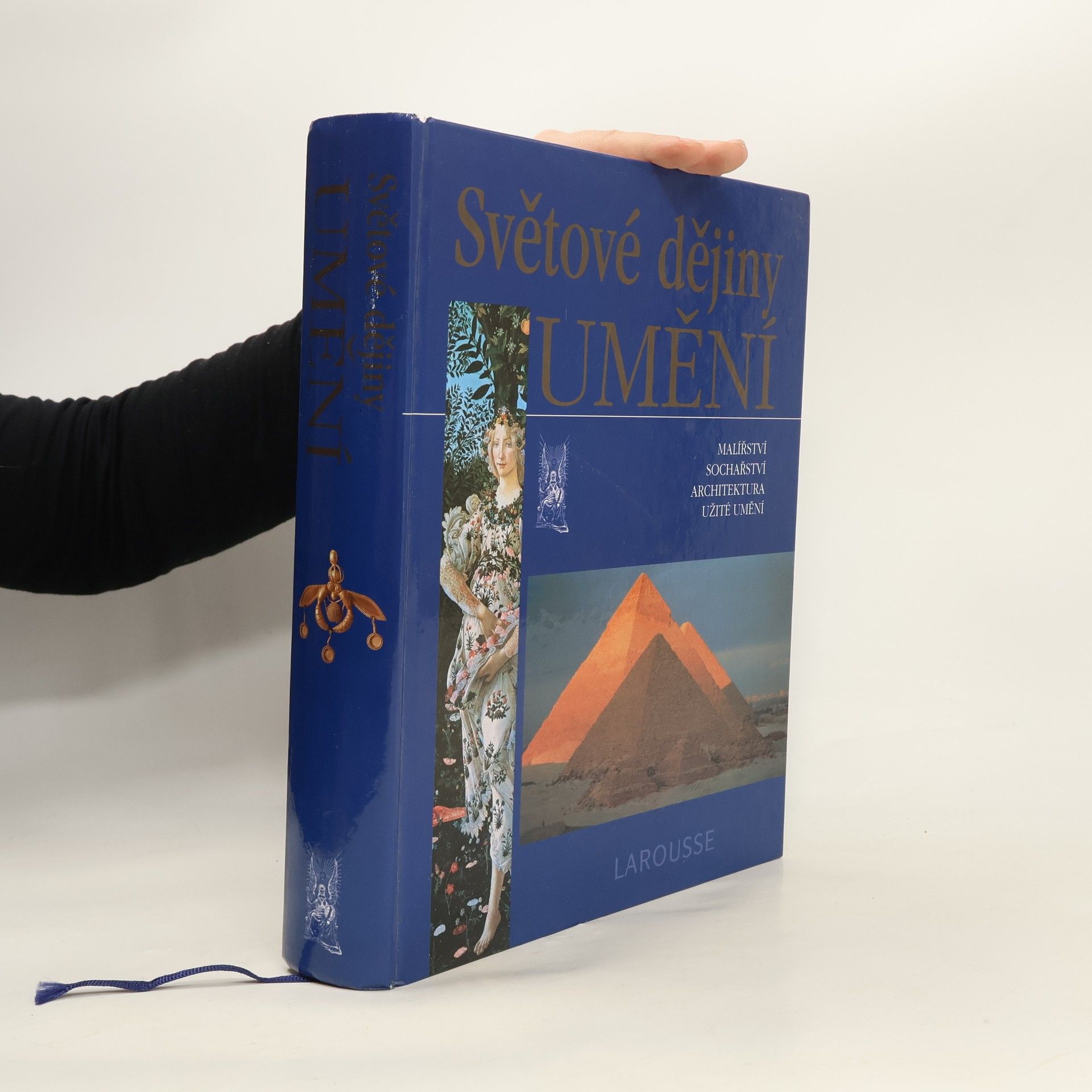 Albert Châtelet Světové dějiny umění : malířství, sochařství, architektura, užité umění