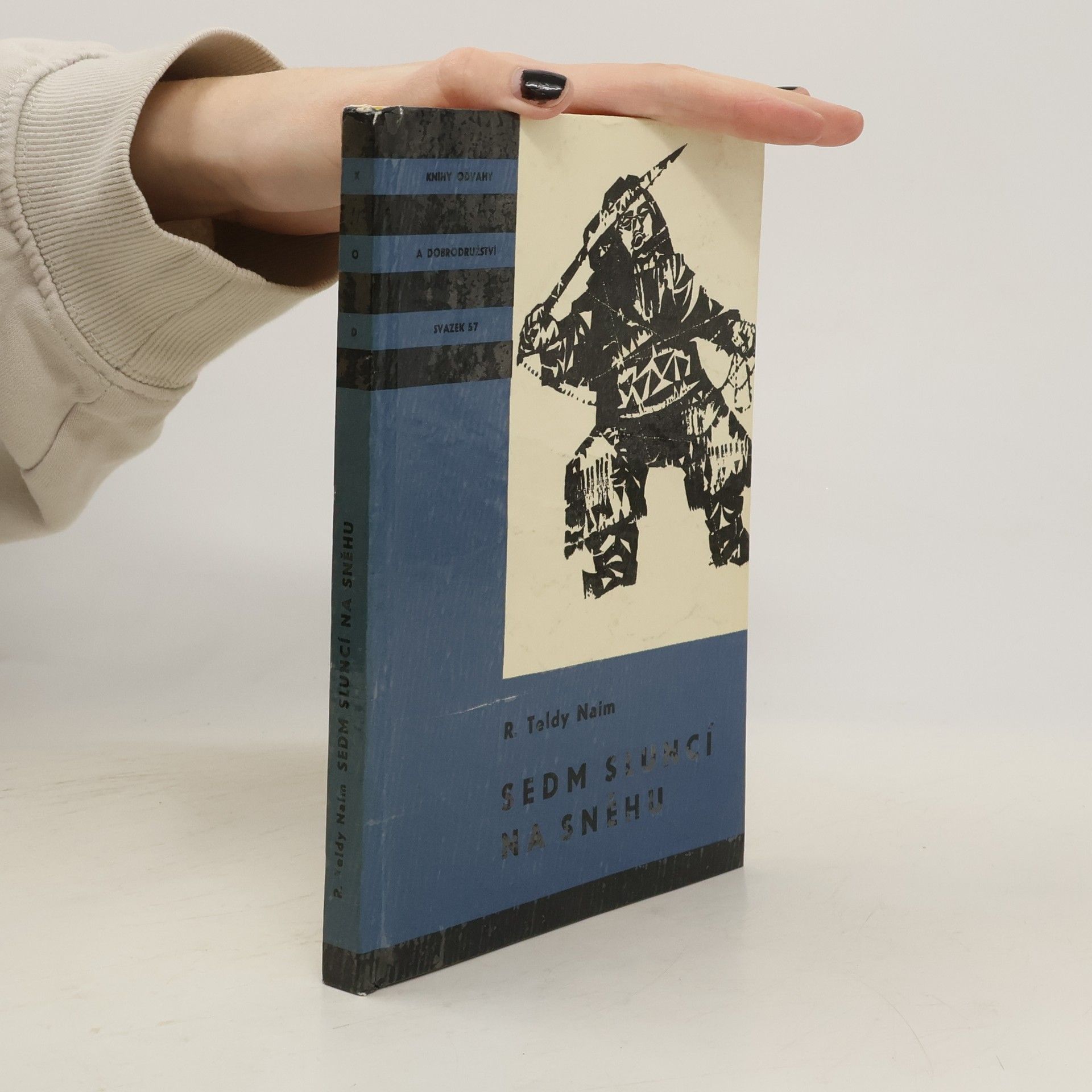 Robert Teldy Naïm Sedm sluncí na sněhu