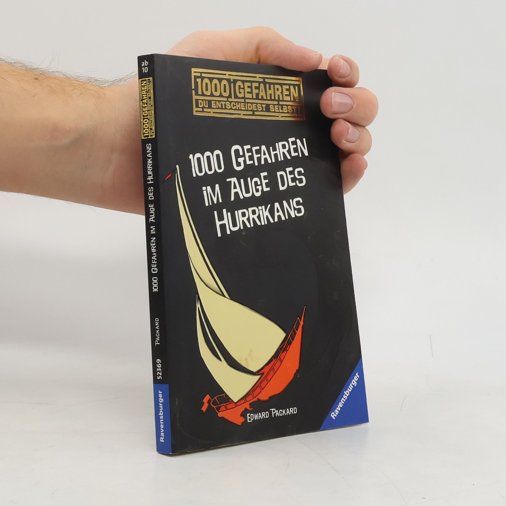 Edward Packard 1000 Gefahren im Auge des Hurrikans