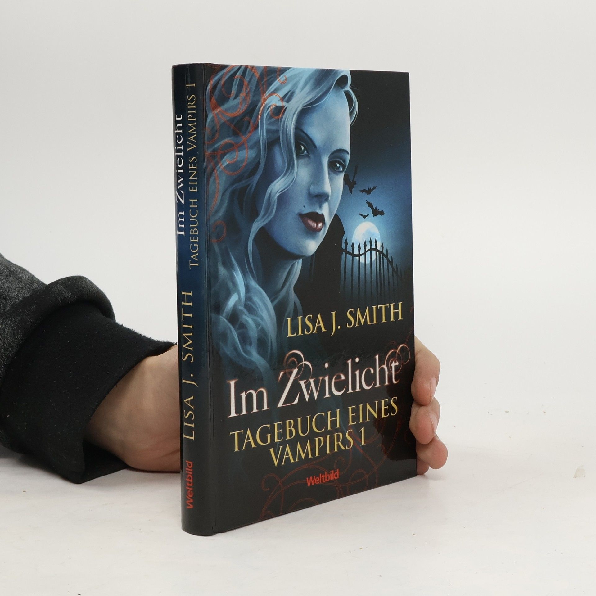 L. J. Smith Tagebuch eines Vampirs 1. Im Zwielicht