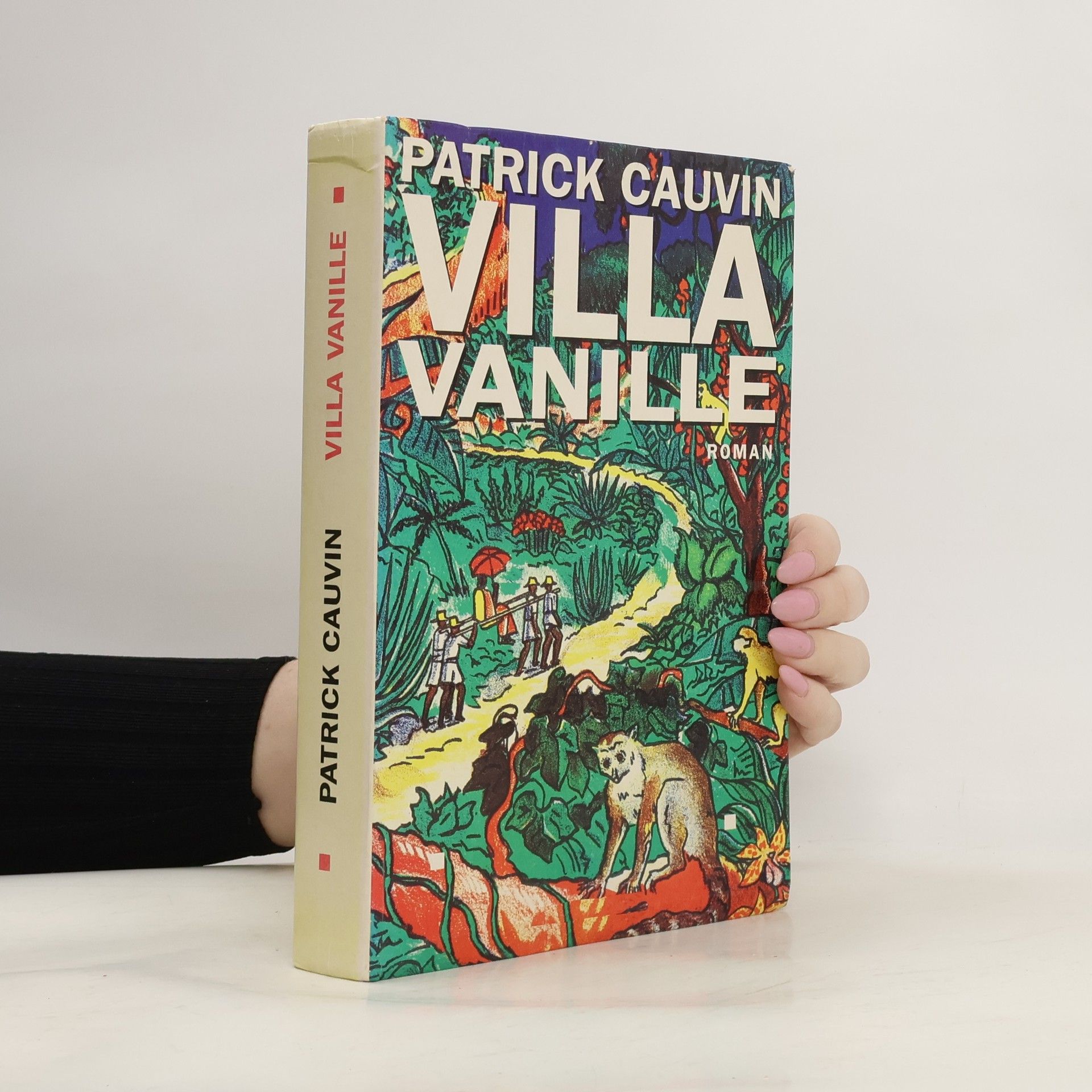 Patrick Cauvin Villa vanille