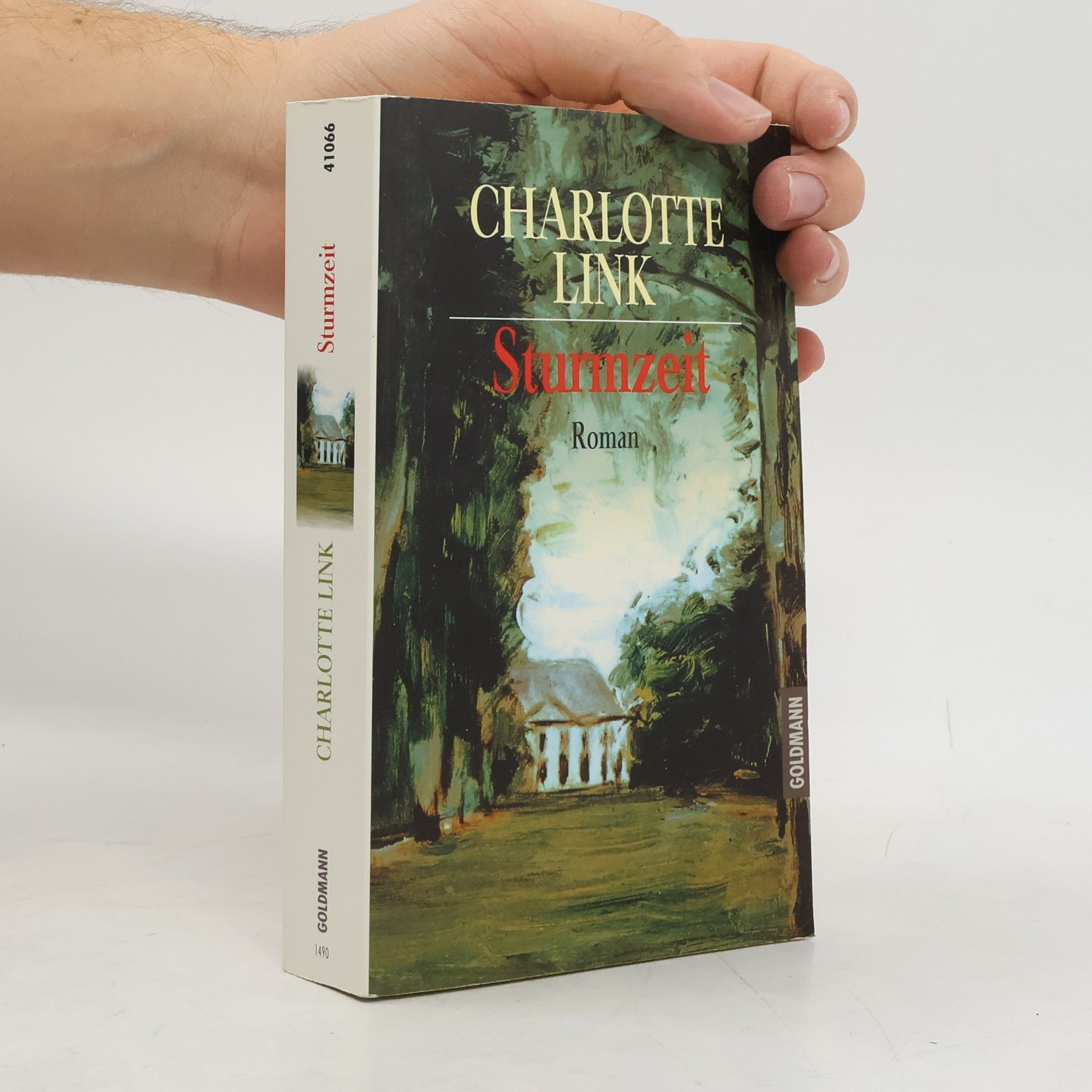 Charlotte Link Sturmzeit