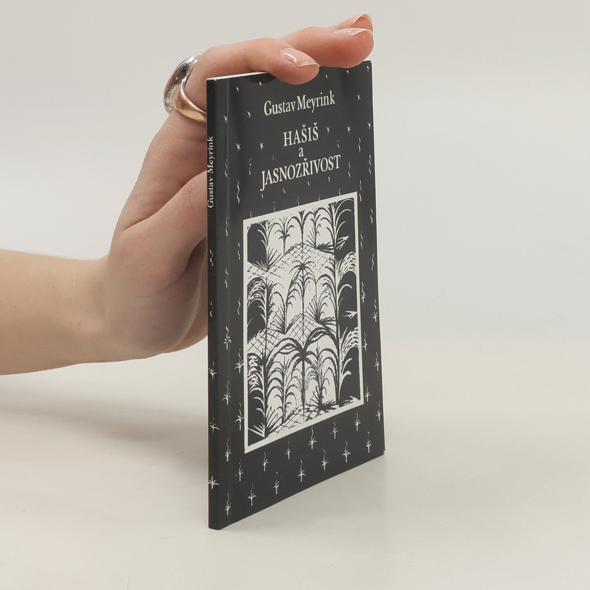 Gustav Meyrink Hašiš a jasnozřivost