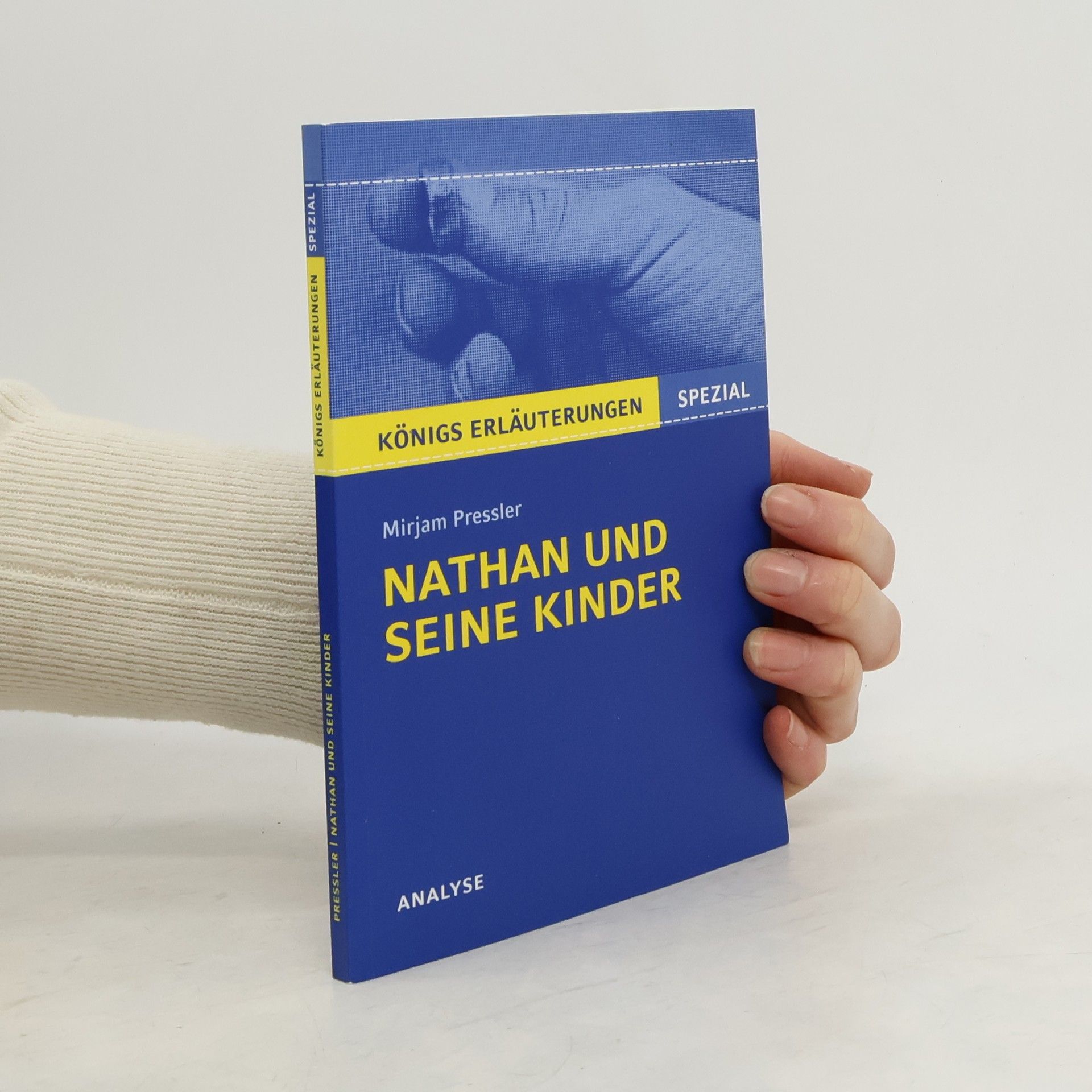 Thomas Möbius Mirjam Pressler: Nathan und seine Kinder