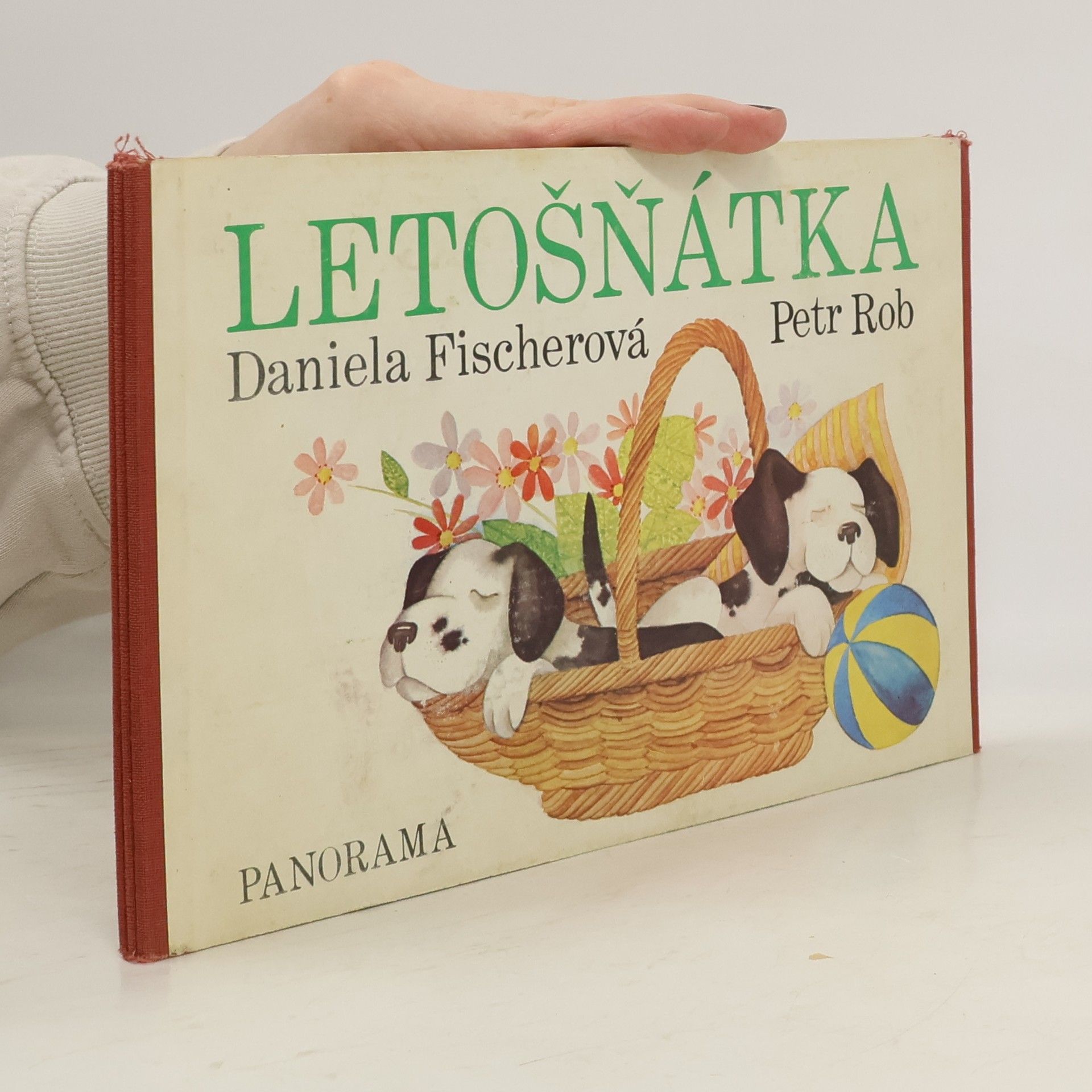 Daniela Fischer Letošňátka