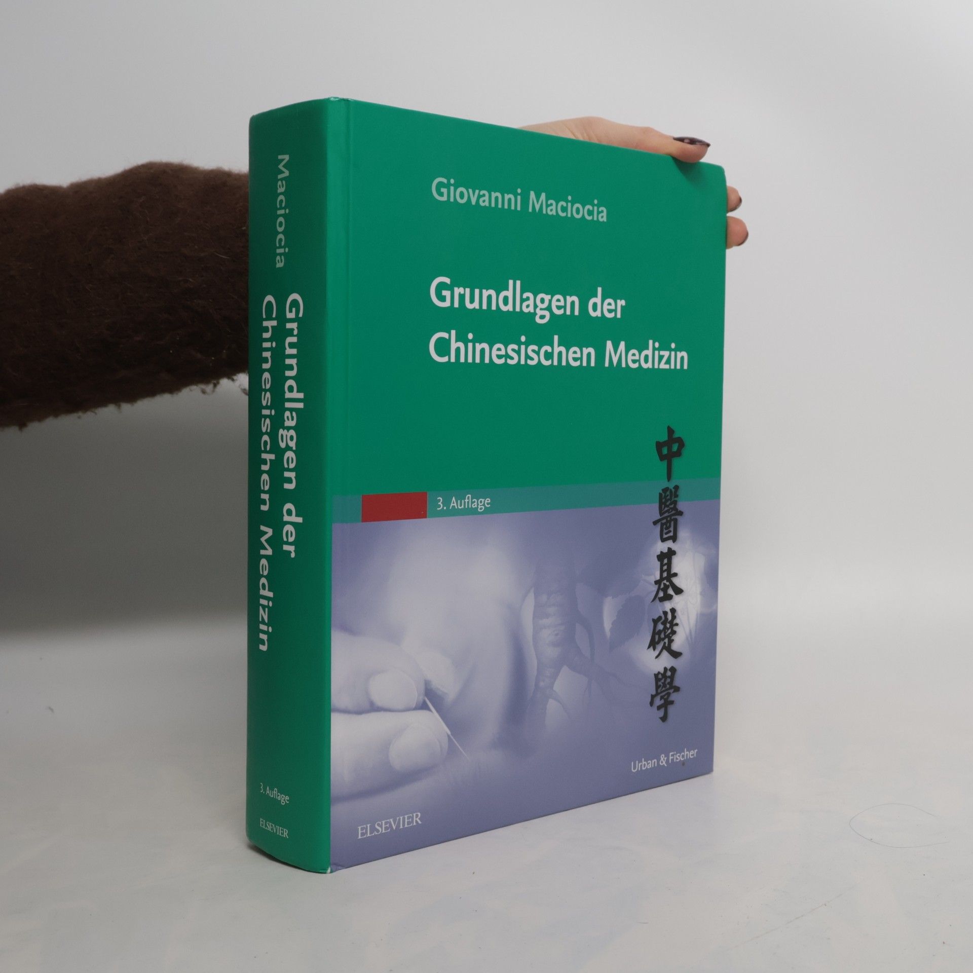 Giovanni Maciocia Grundlagen der Chinesischen Medizin