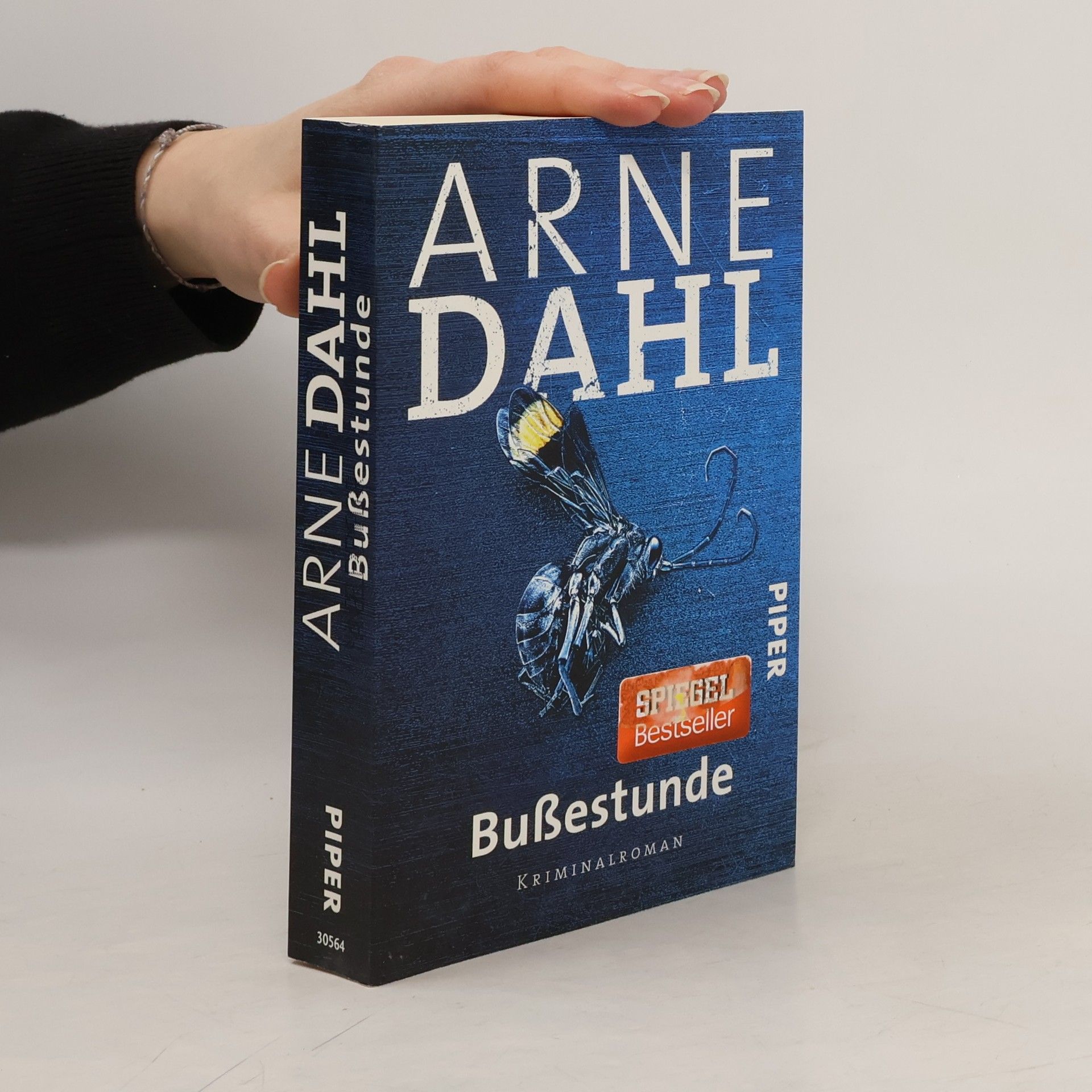 Arne Dahl Bußestunde