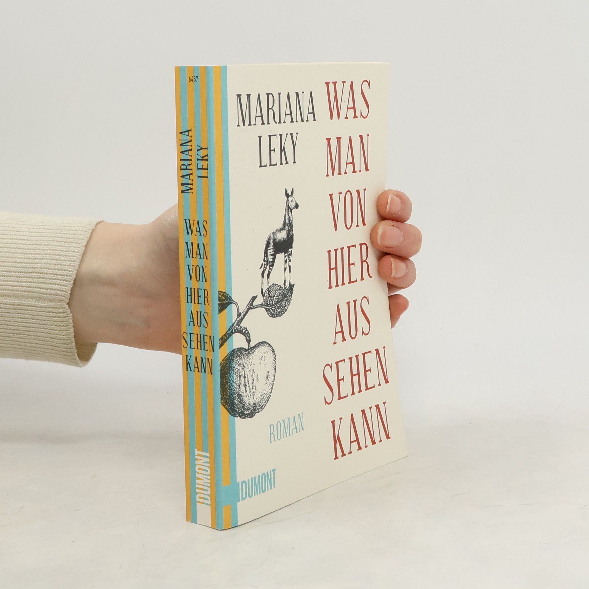 Mariana Leky Was man von hier aus sehen kann