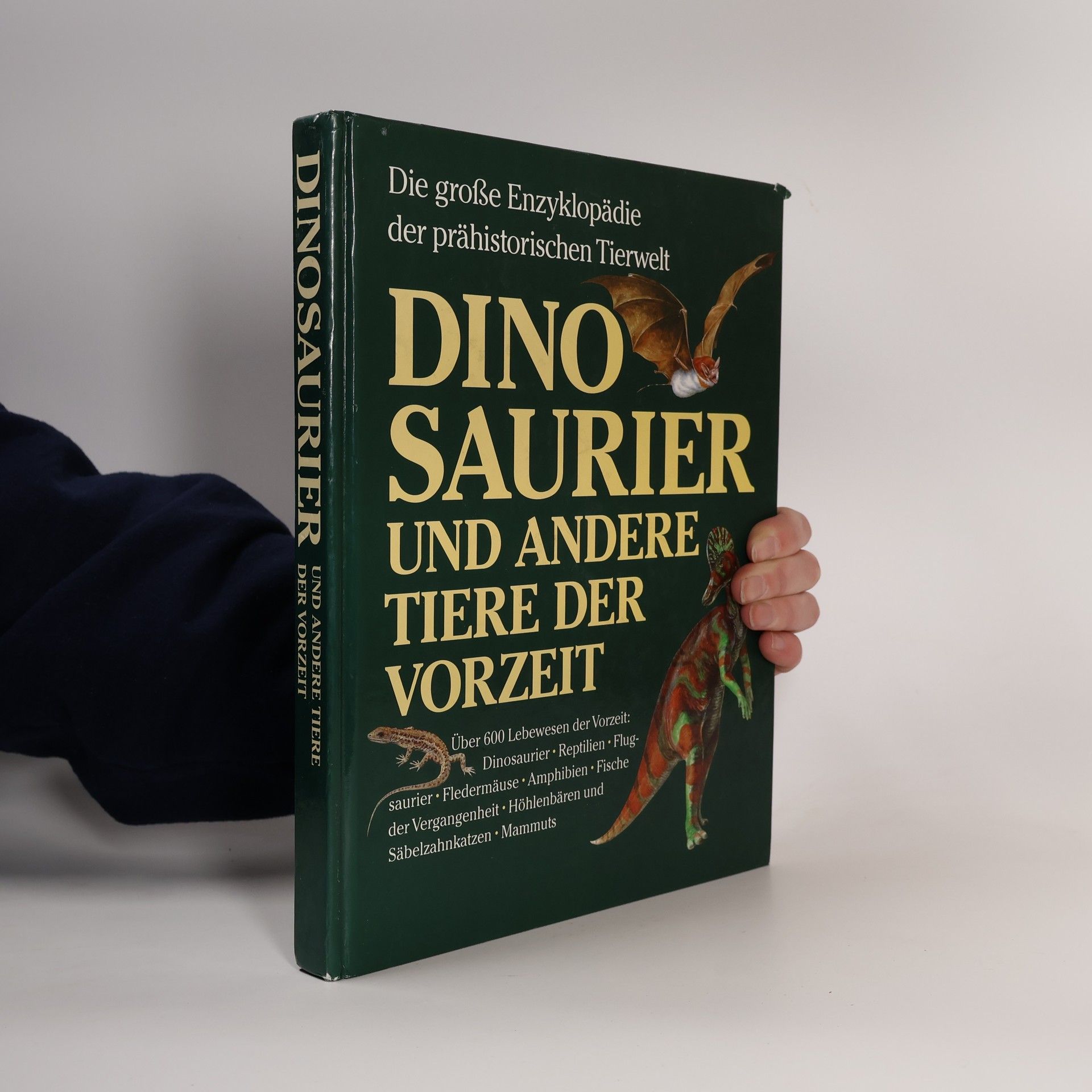 Dinosaurier und andere Tiere der Vorzeit