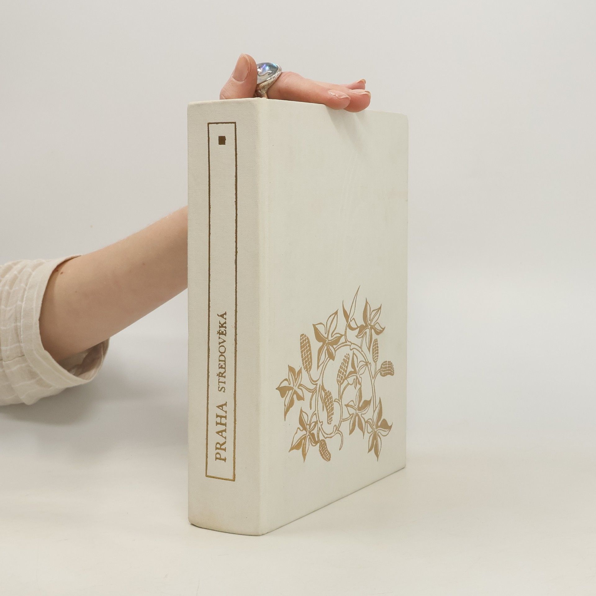 AA.VV. Praha středověká